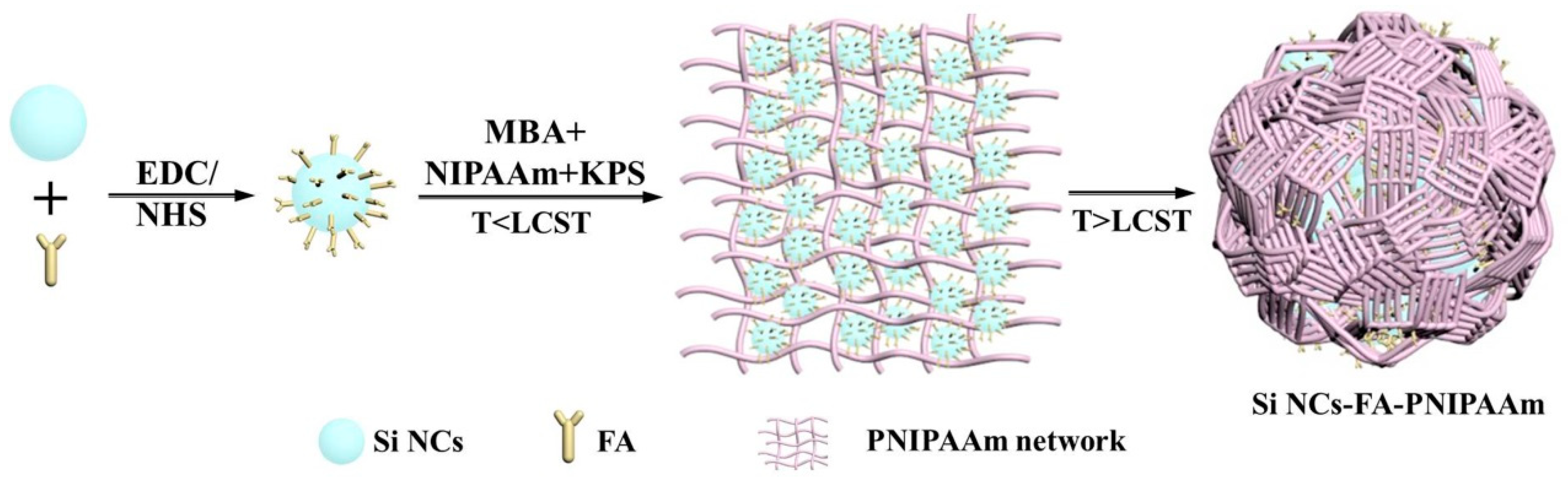Polymers 12 02565 sch001