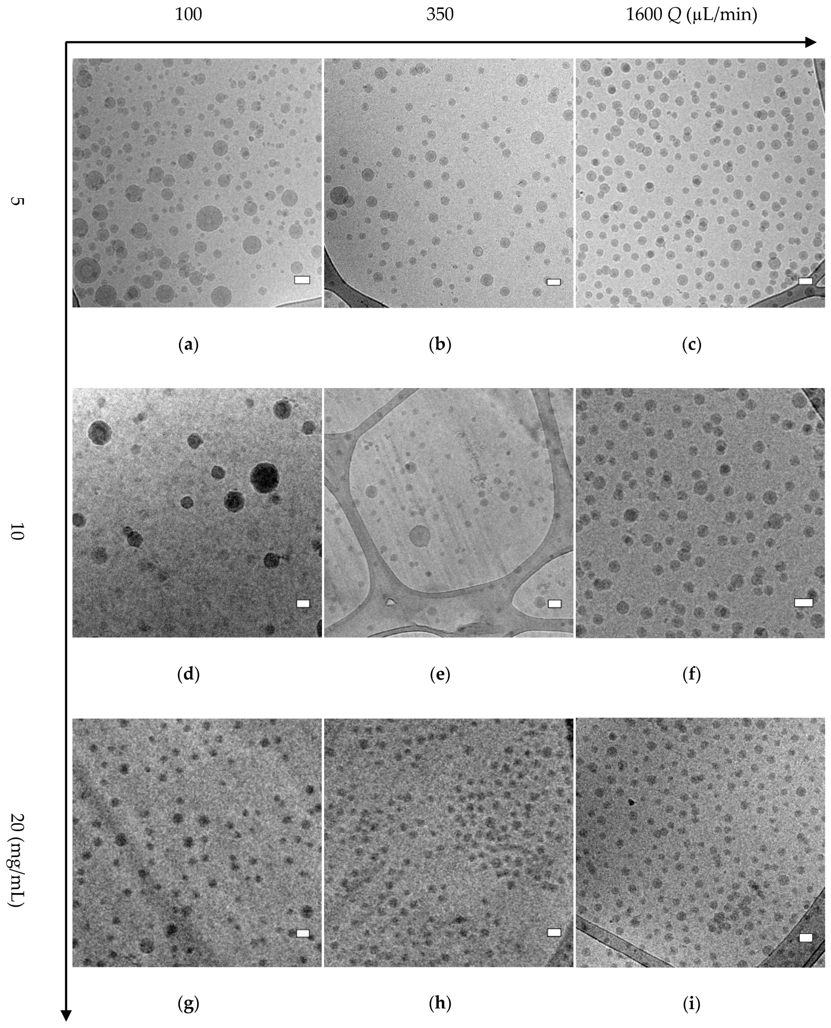 Polymers 12 02572 g004