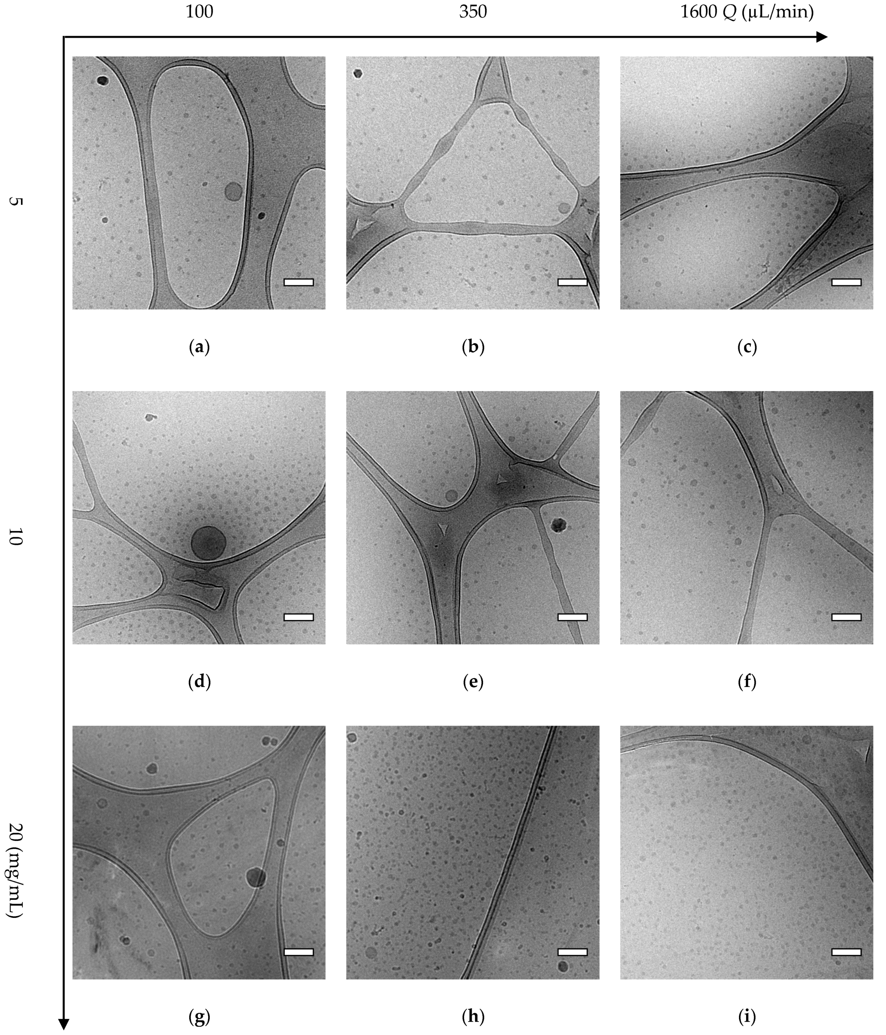 Polymers 12 02572 g006