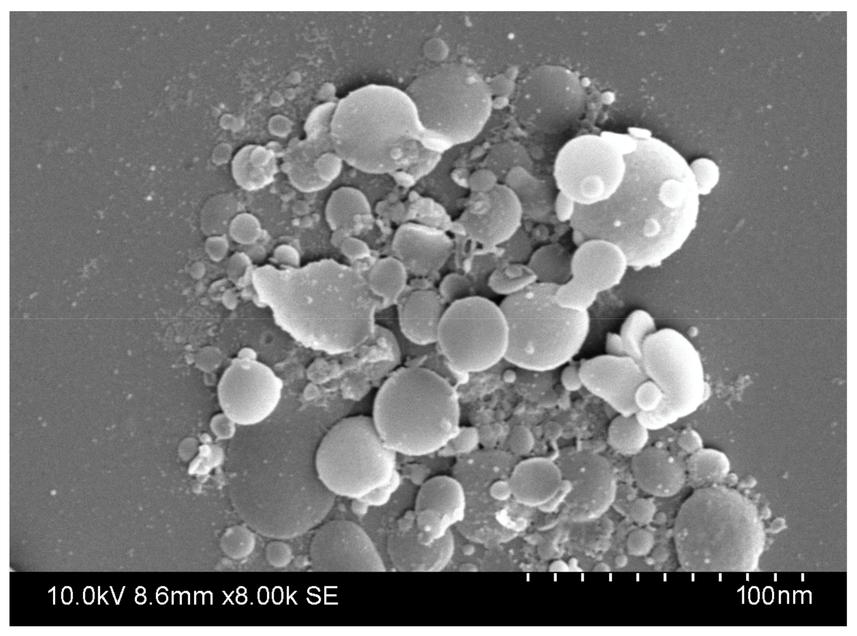 Polymers 12 02576 g001