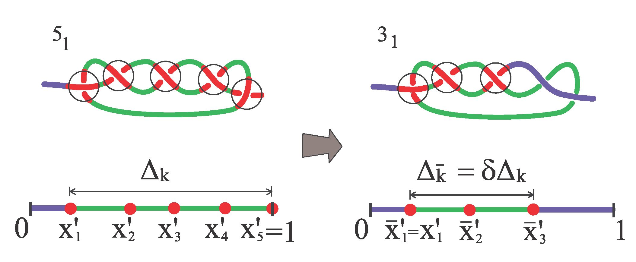 Polymers 12 02580 g003