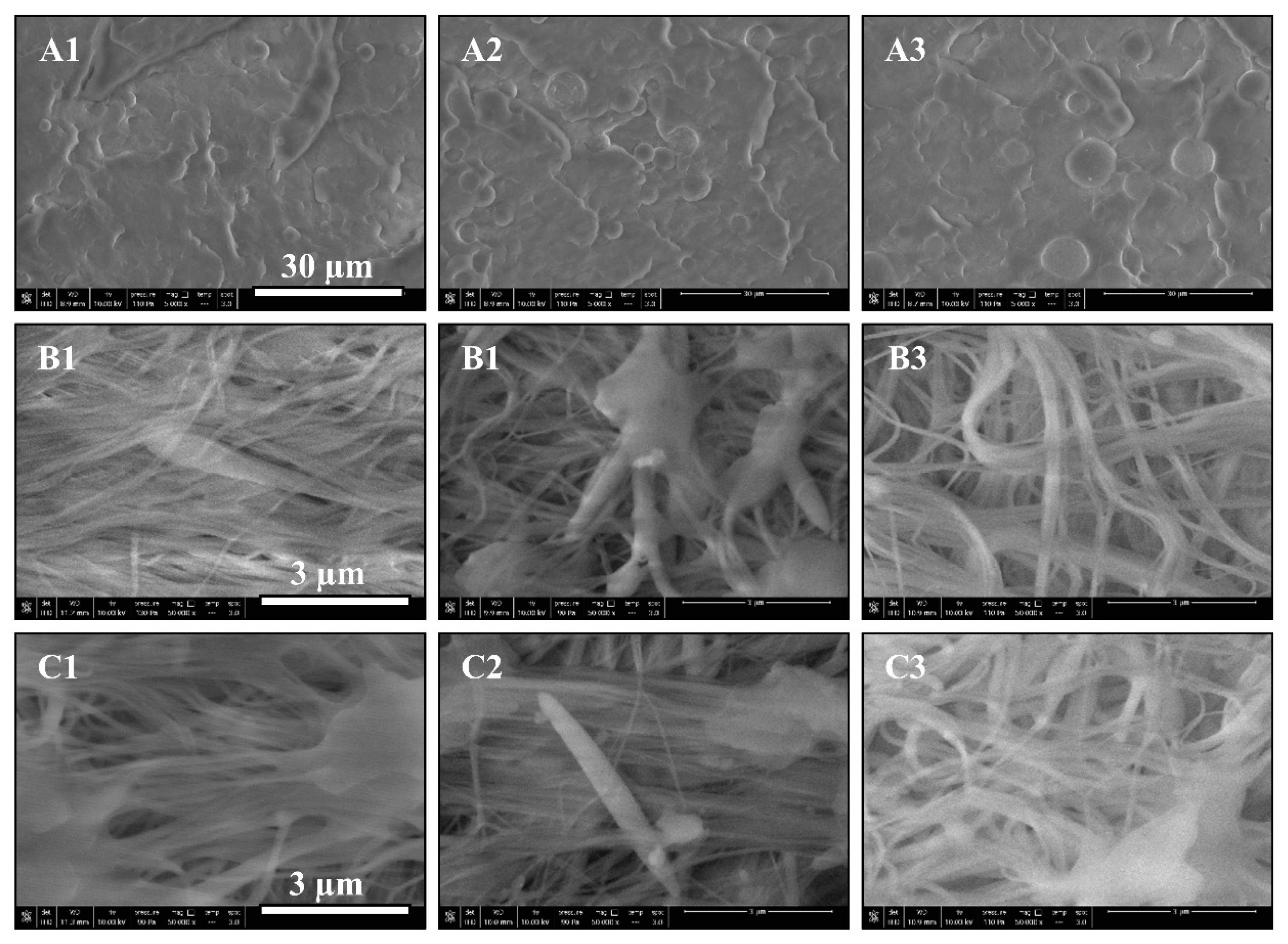 Polymers 12 02585 g003 Polymers 12 02585 g003