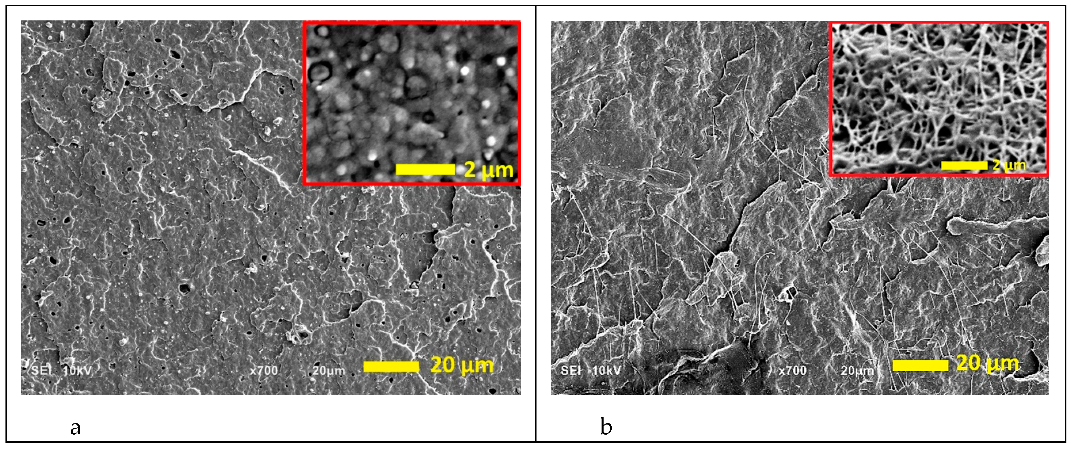 Polymers 12 02587 g001 Polymers 12 02587 g001