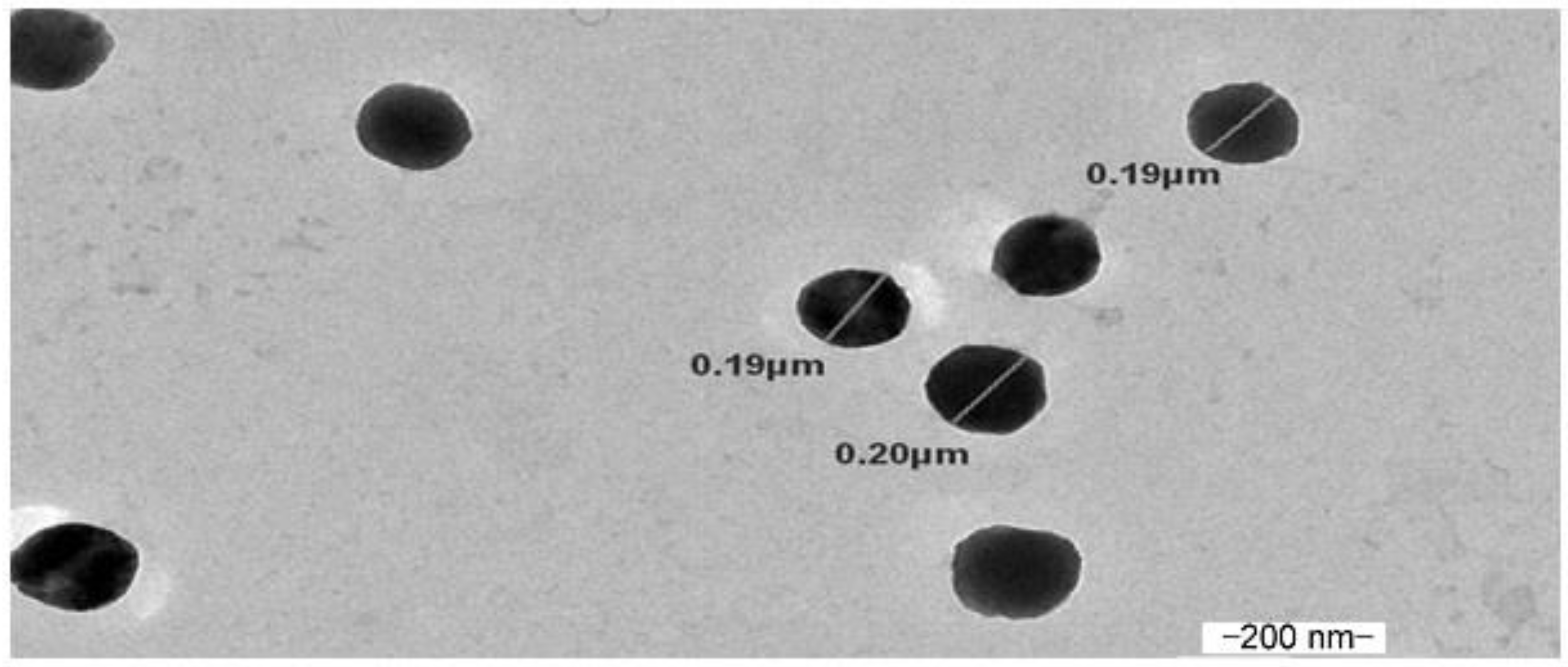 Polymers 12 02589 g002