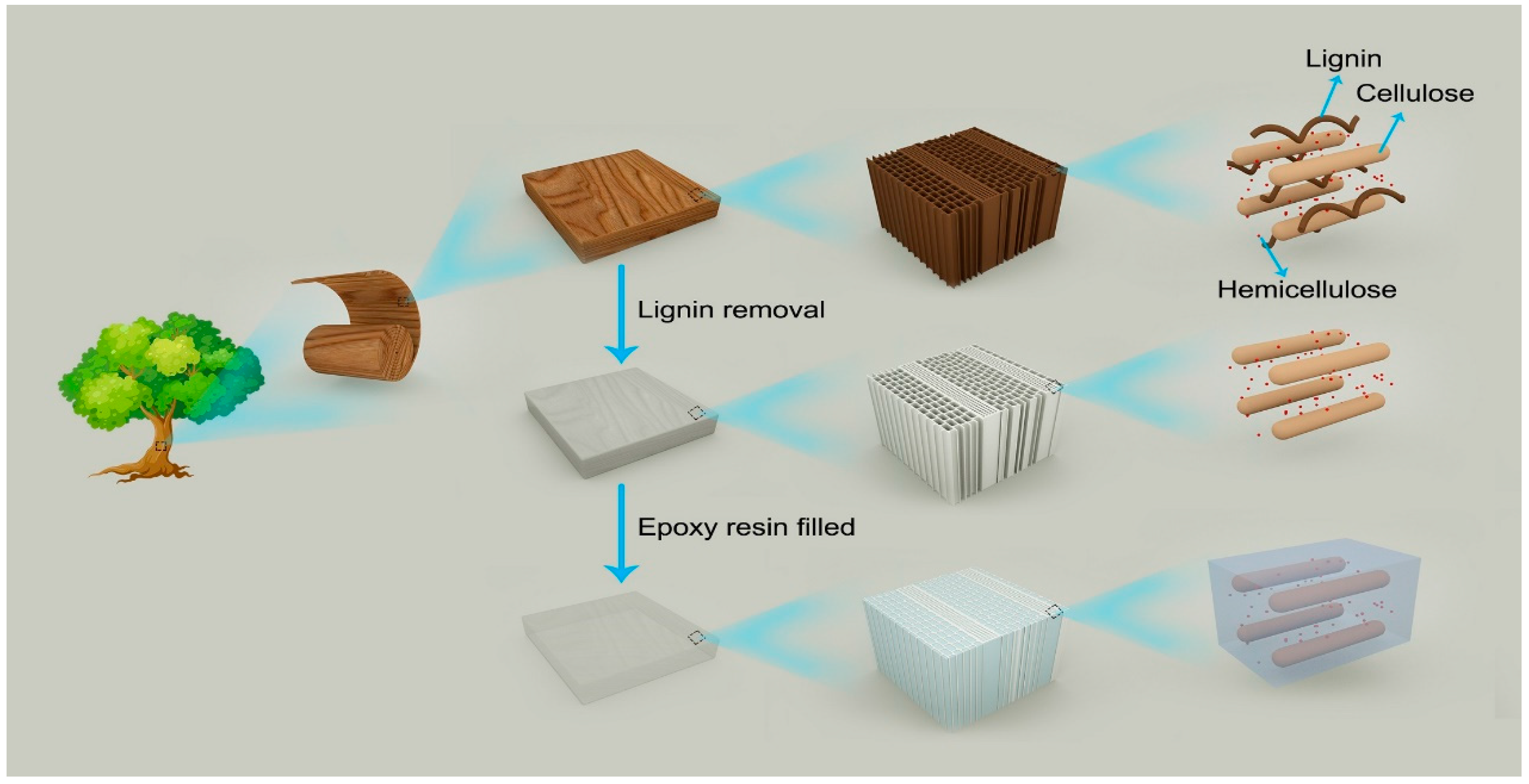 Polymers 12 02602 g001