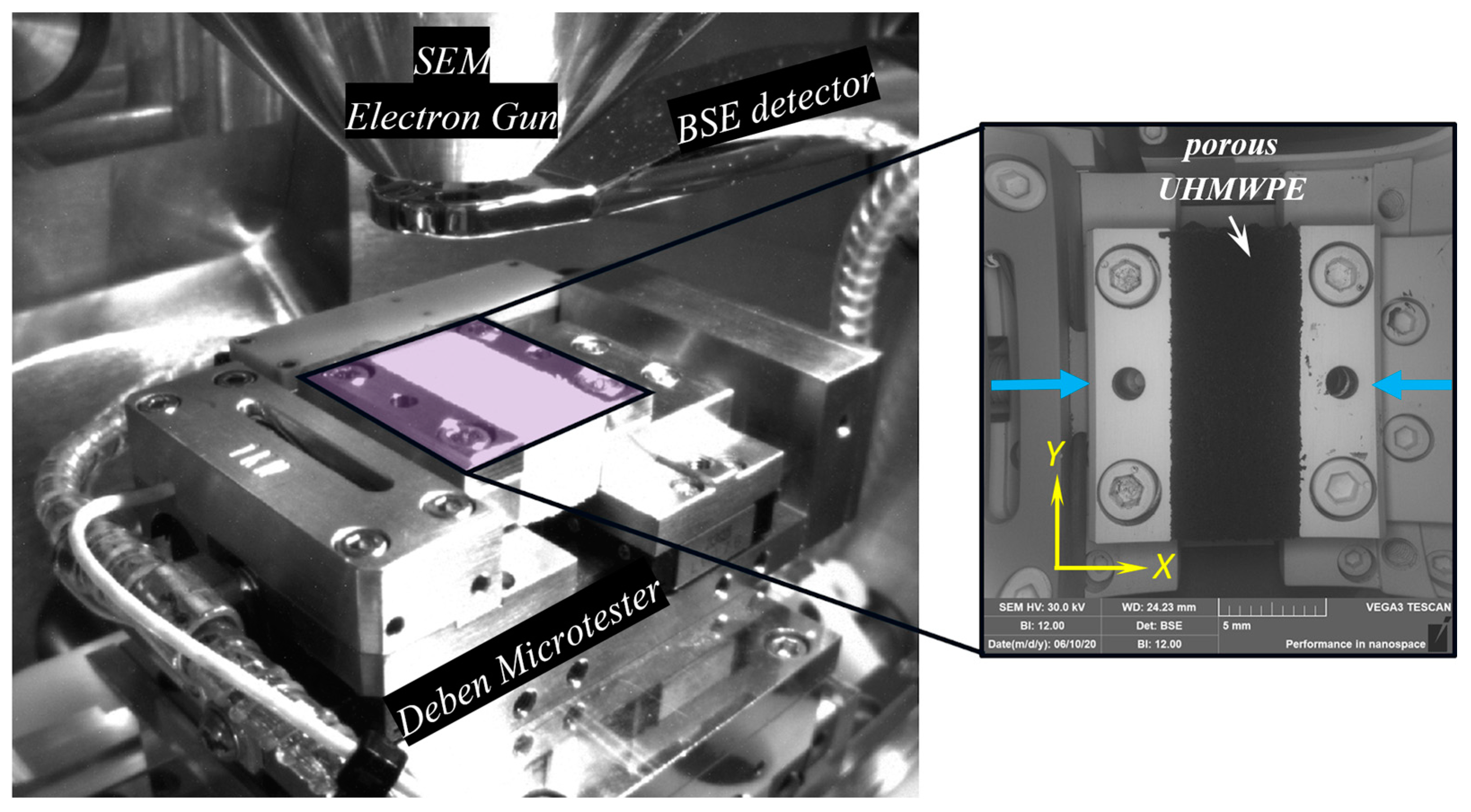 Polymers 12 02607 g005