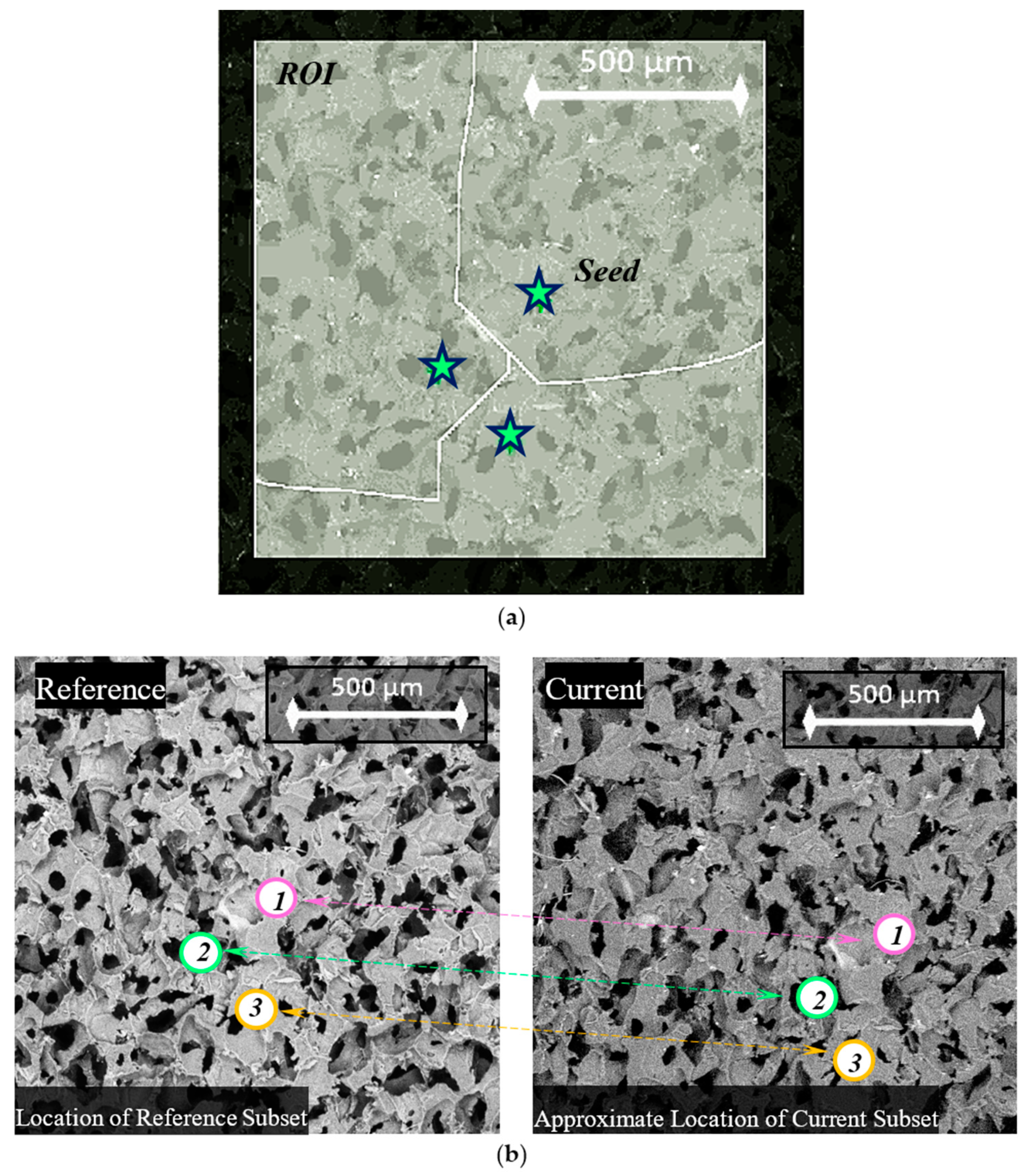 Polymers 12 02607 g007
