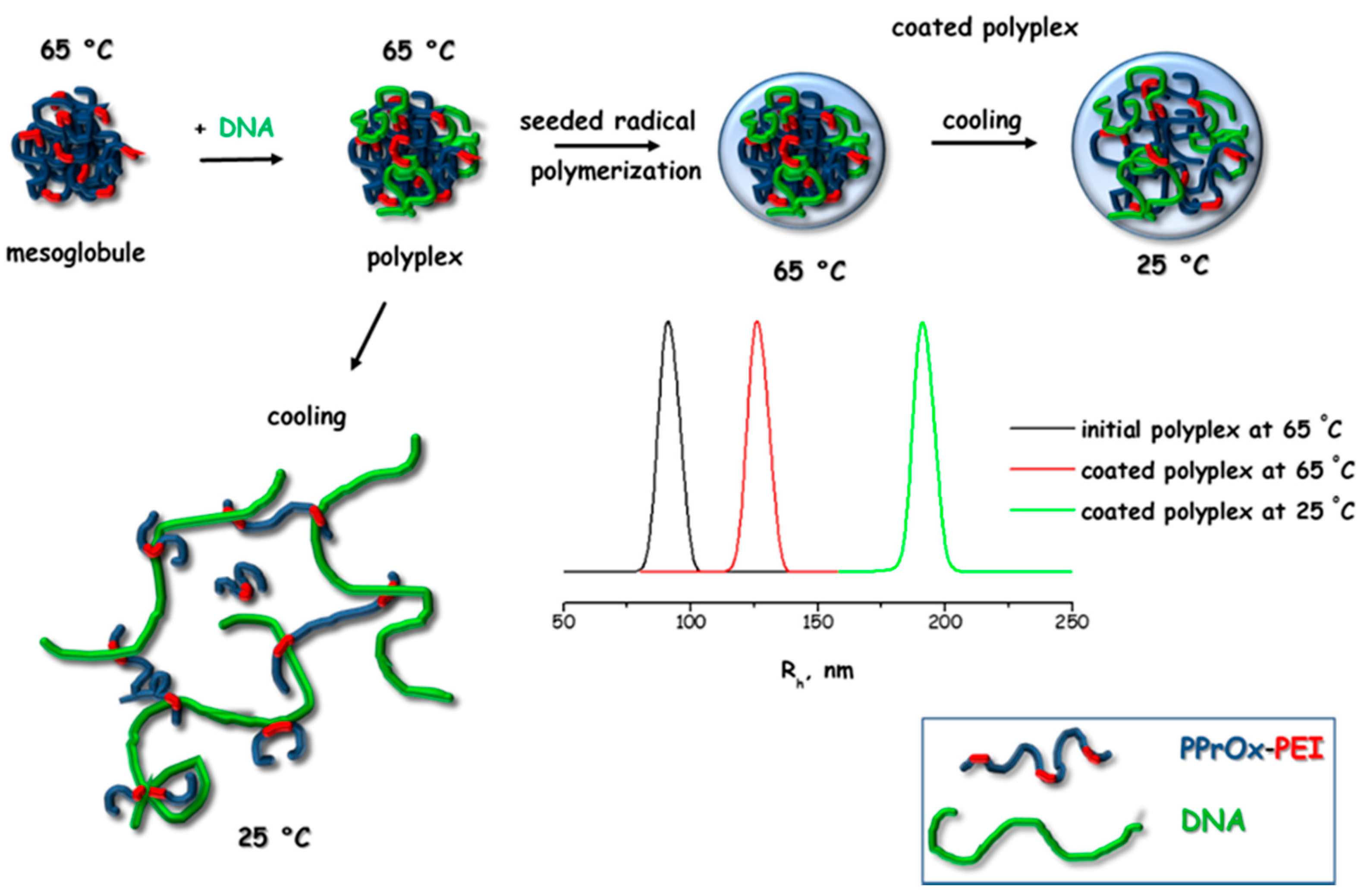 Polymers 12 02609 g009 Polymers 12 02609 g009