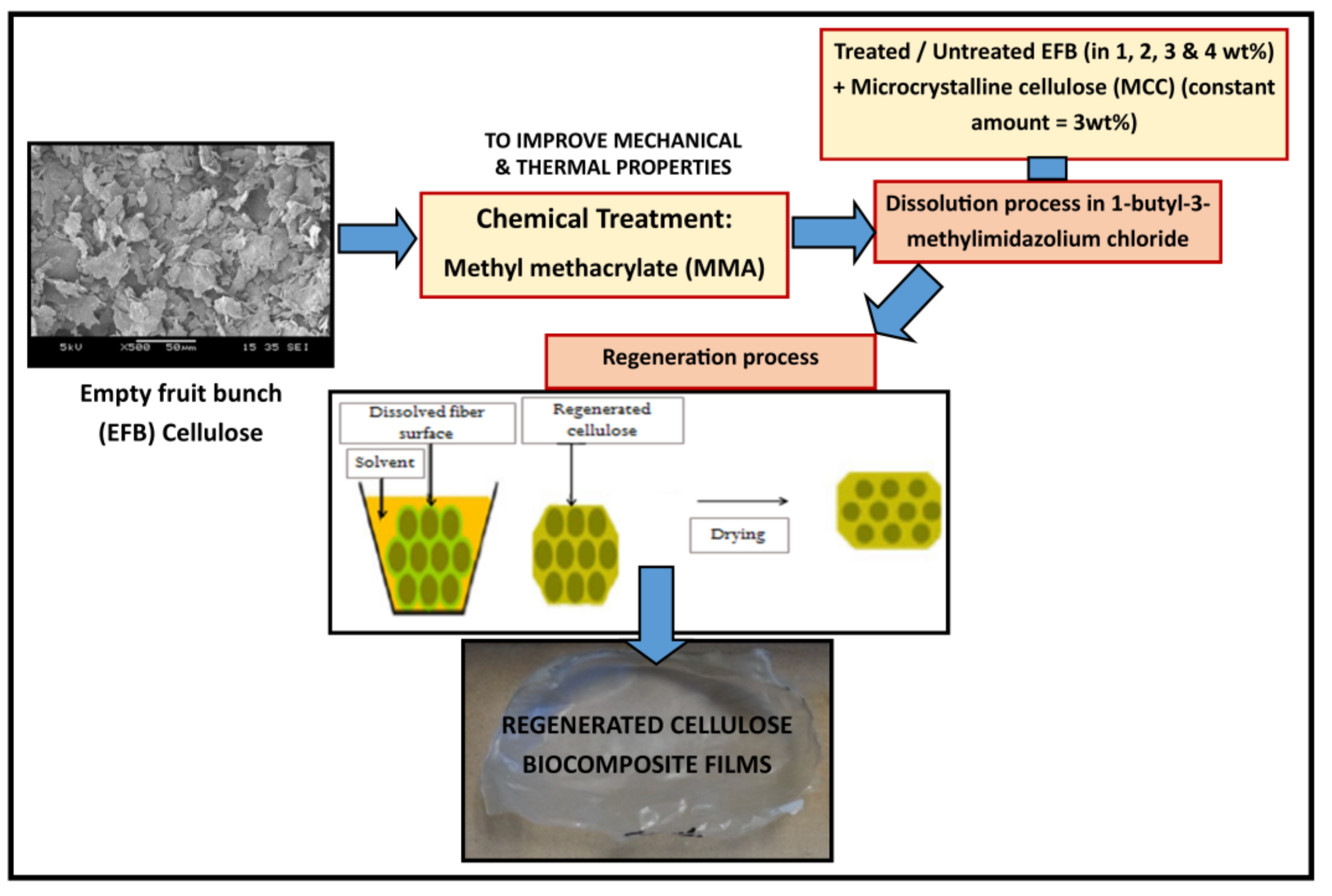 Polymers 12 02618 g001
