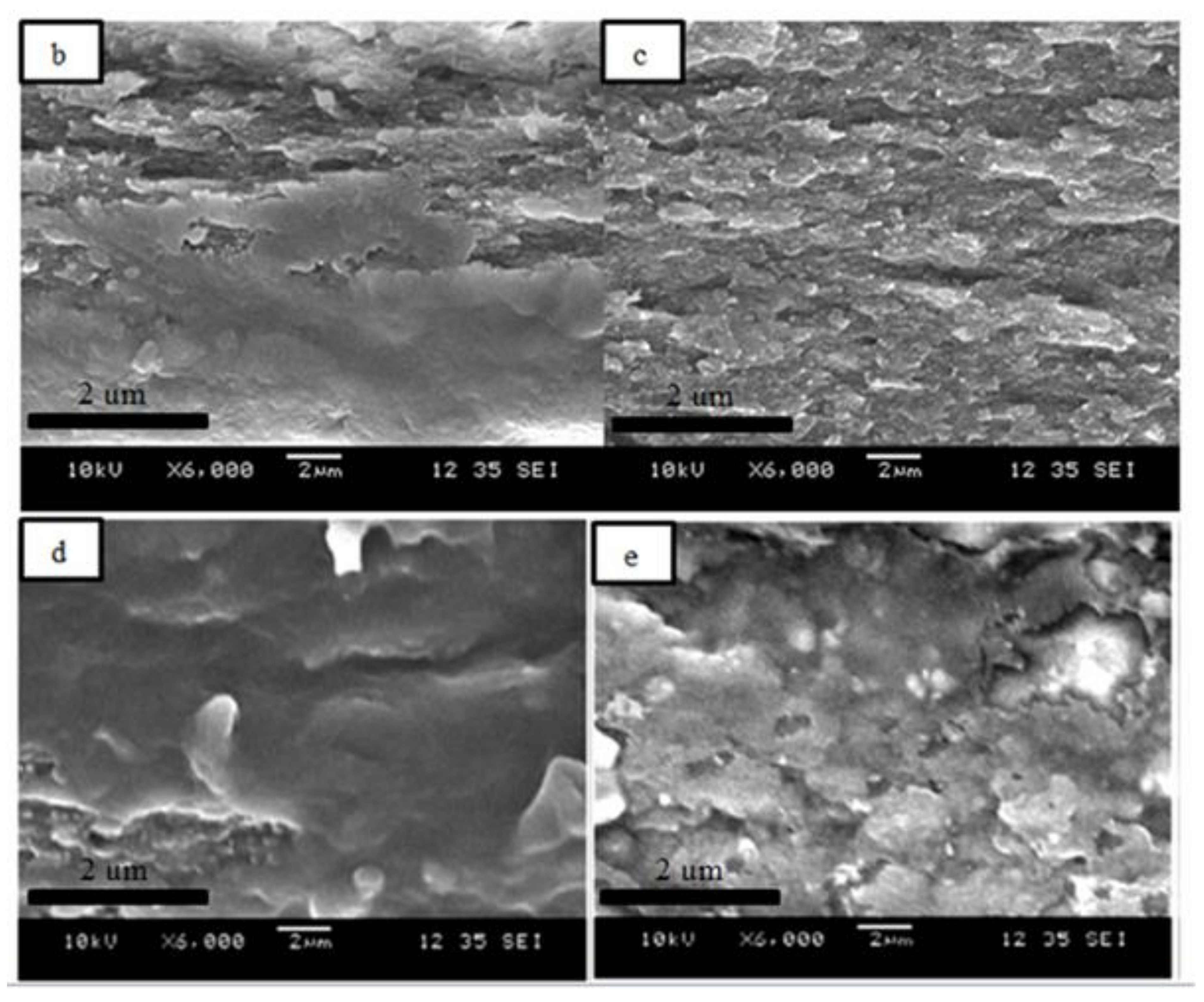 Polymers 12 02618 g006b