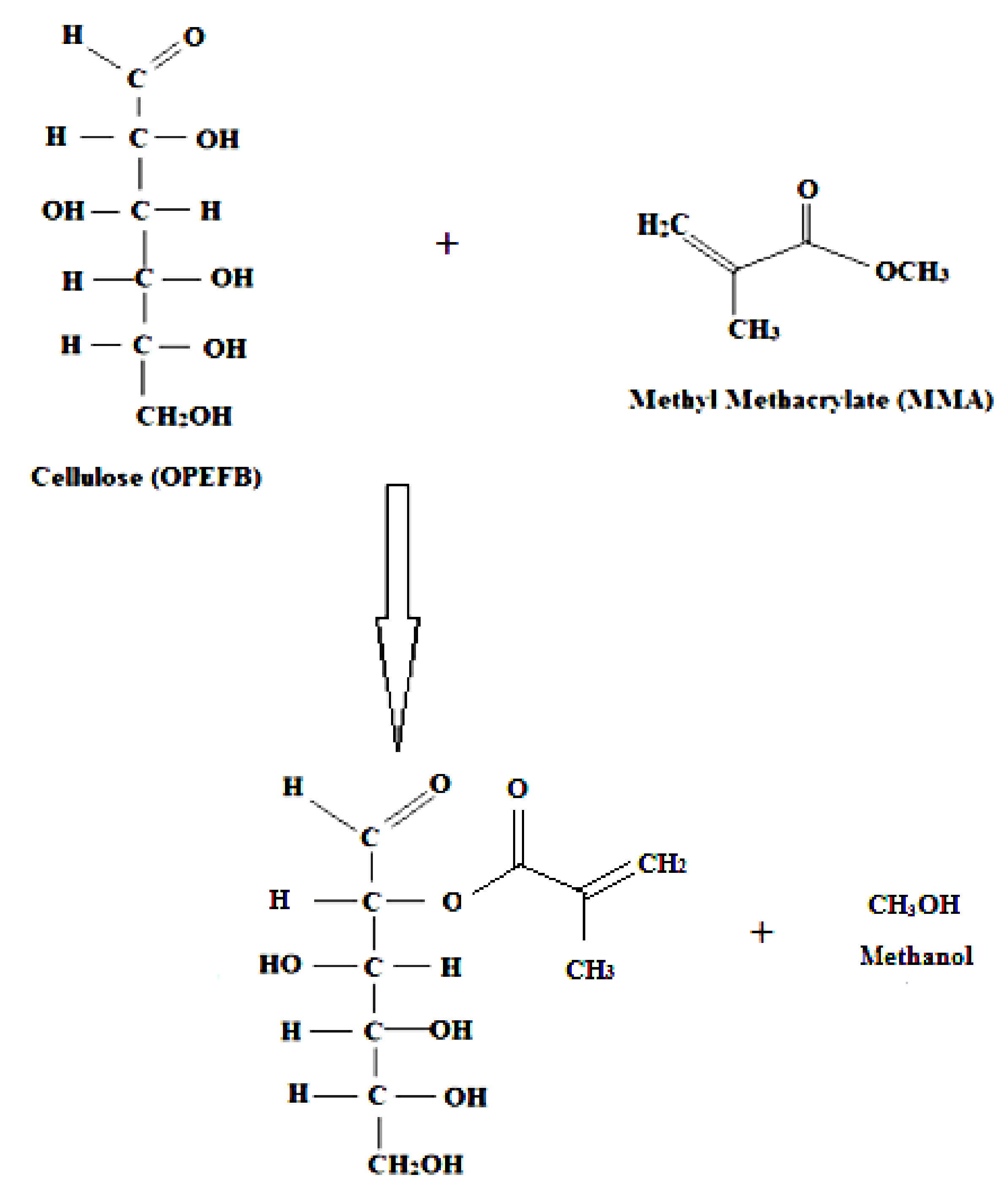Polymers 12 02618 g009