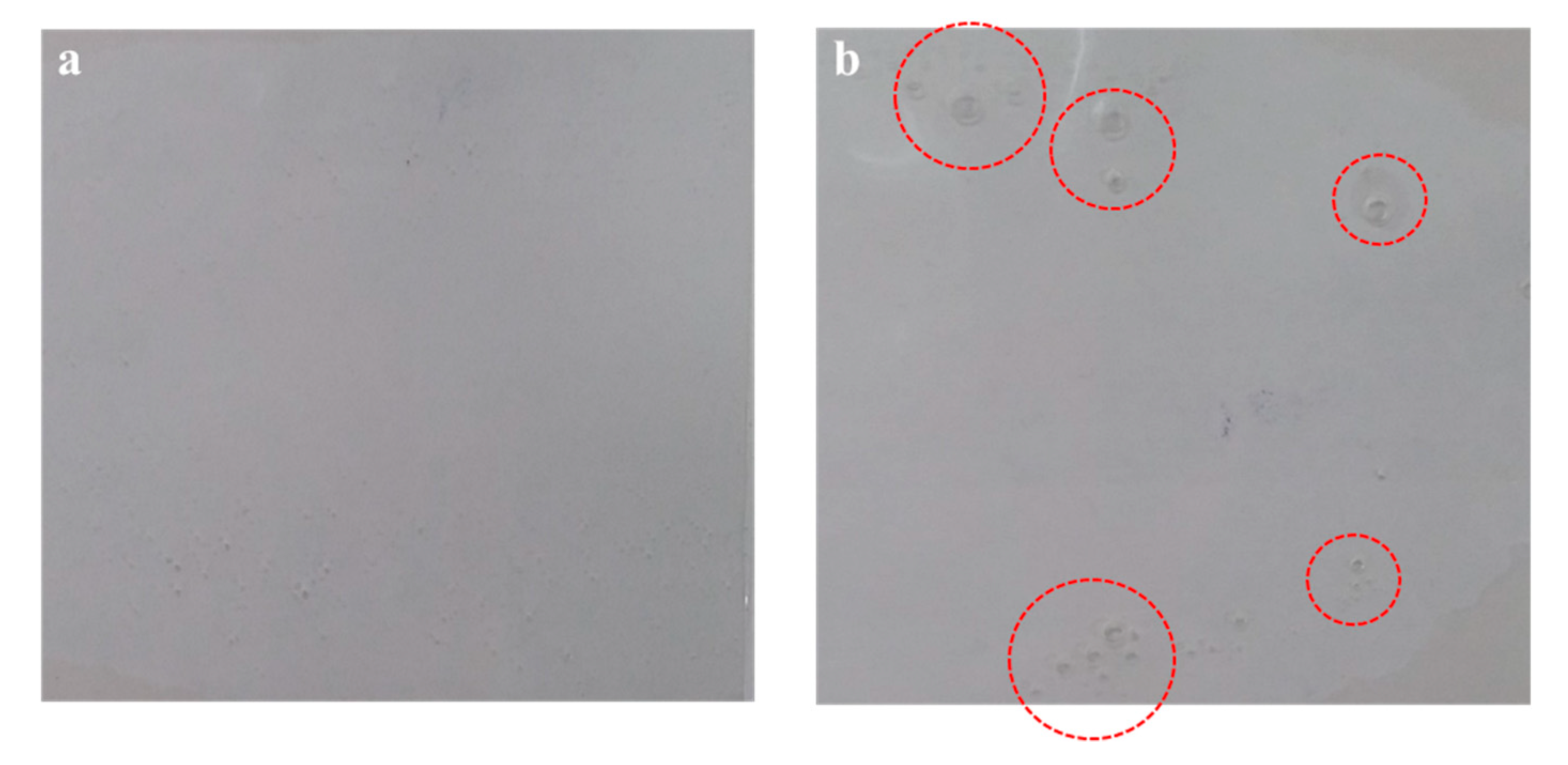 Polymers 12 02633 g009