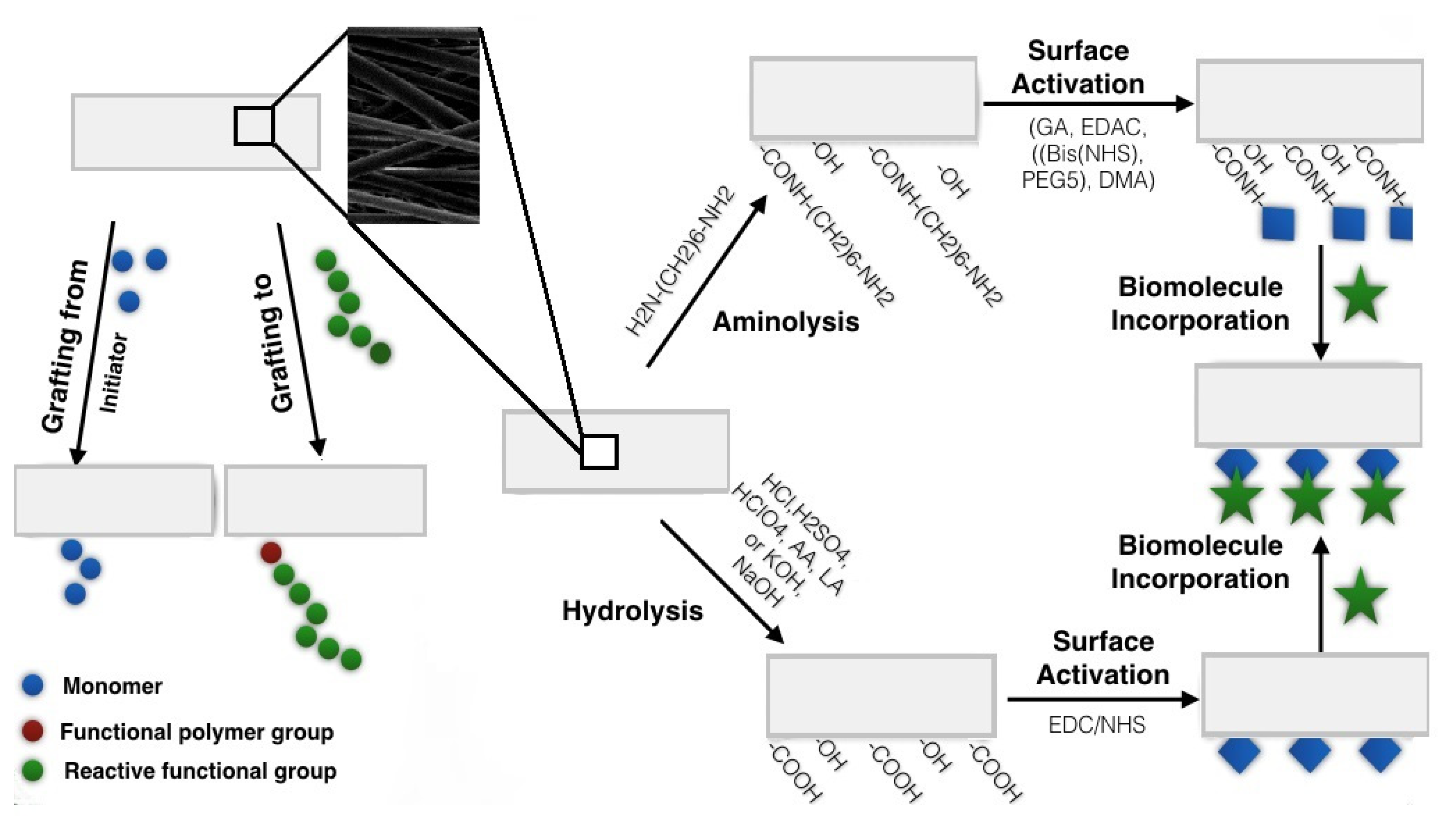Polymers 12 02636 g001 Polymers 12 02636 g001