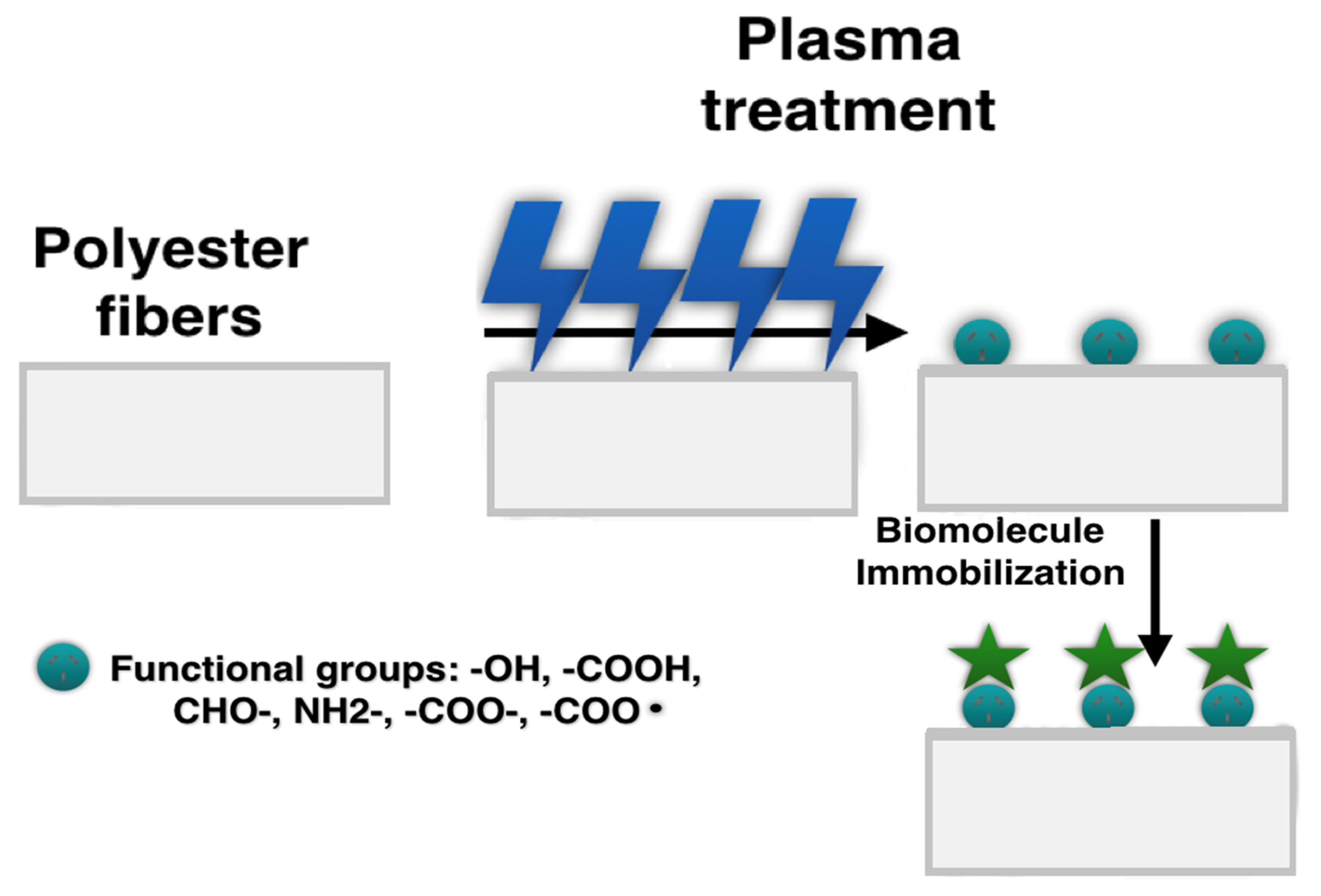 Polymers 12 02636 g002 Polymers 12 02636 g002
