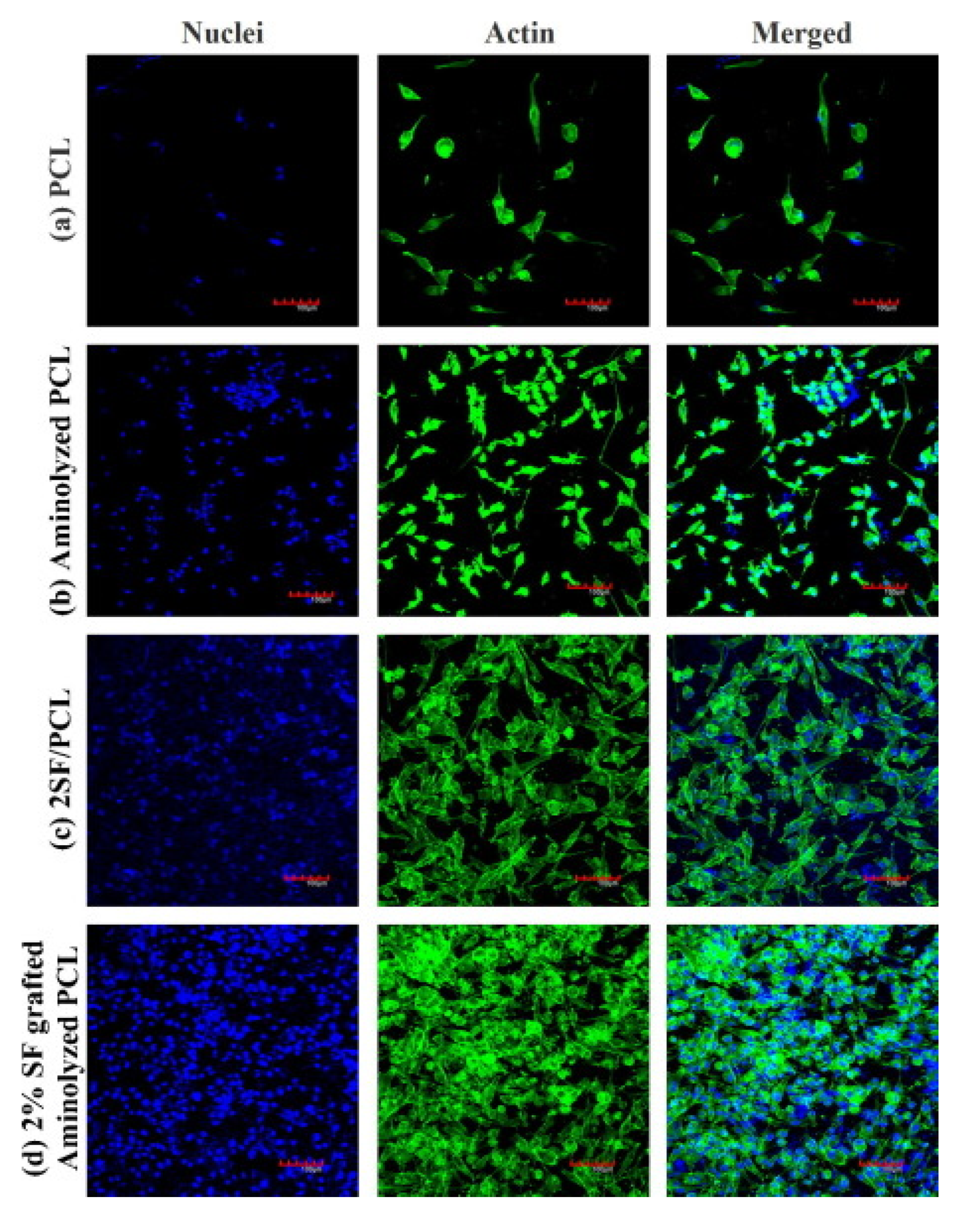 Polymers 12 02636 g004 Polymers 12 02636 g004