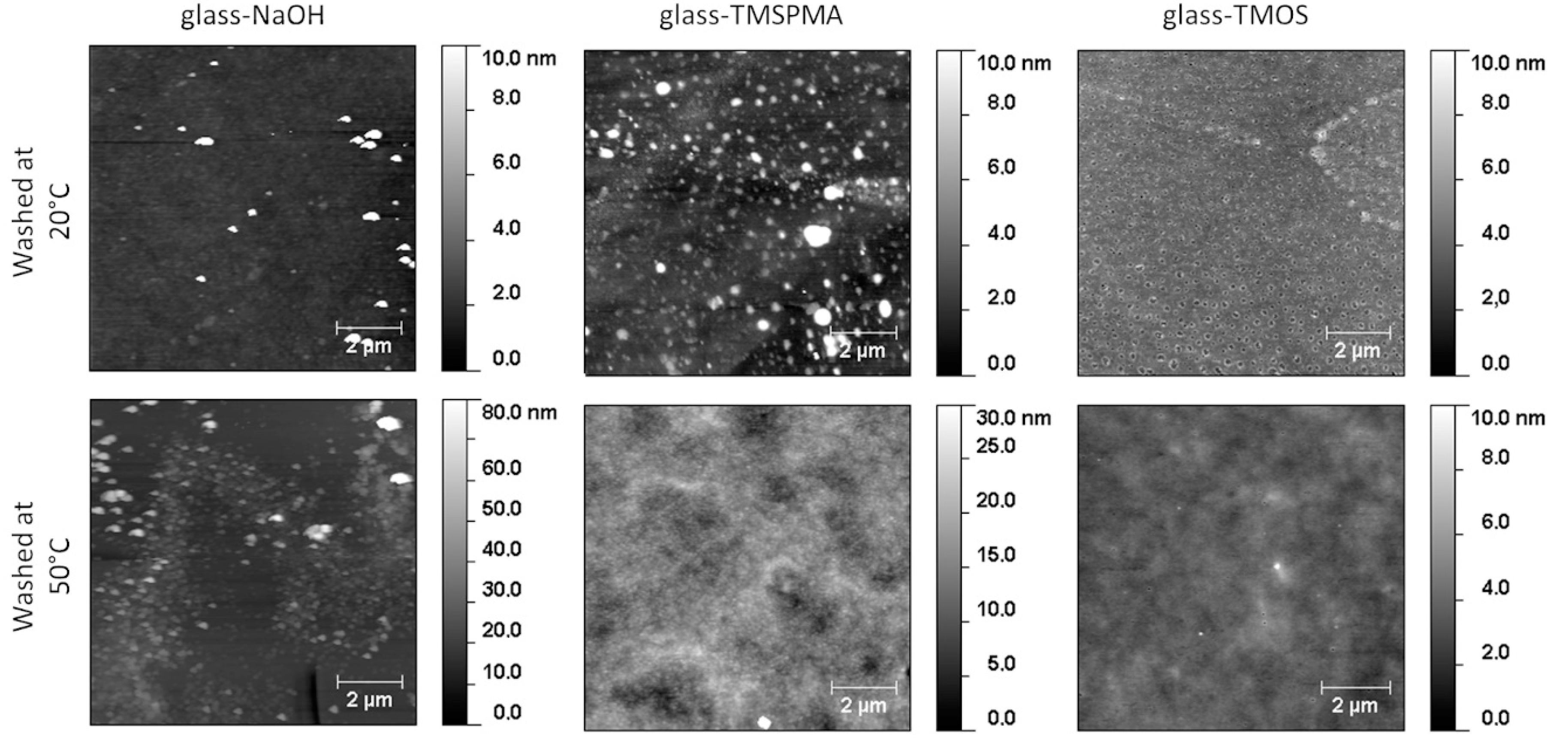 Polymers 12 02638 g005