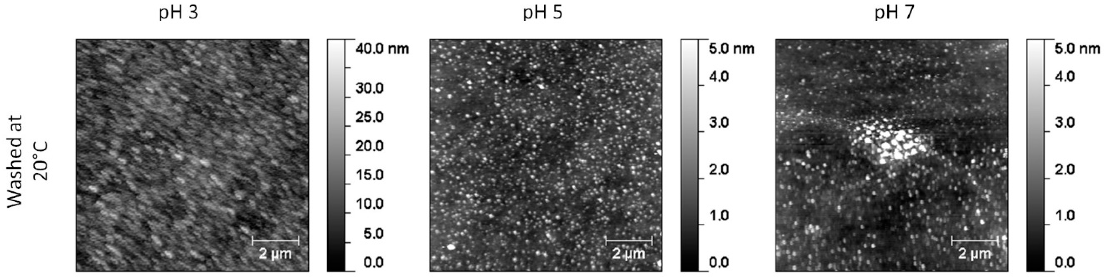 Polymers 12 02638 g008