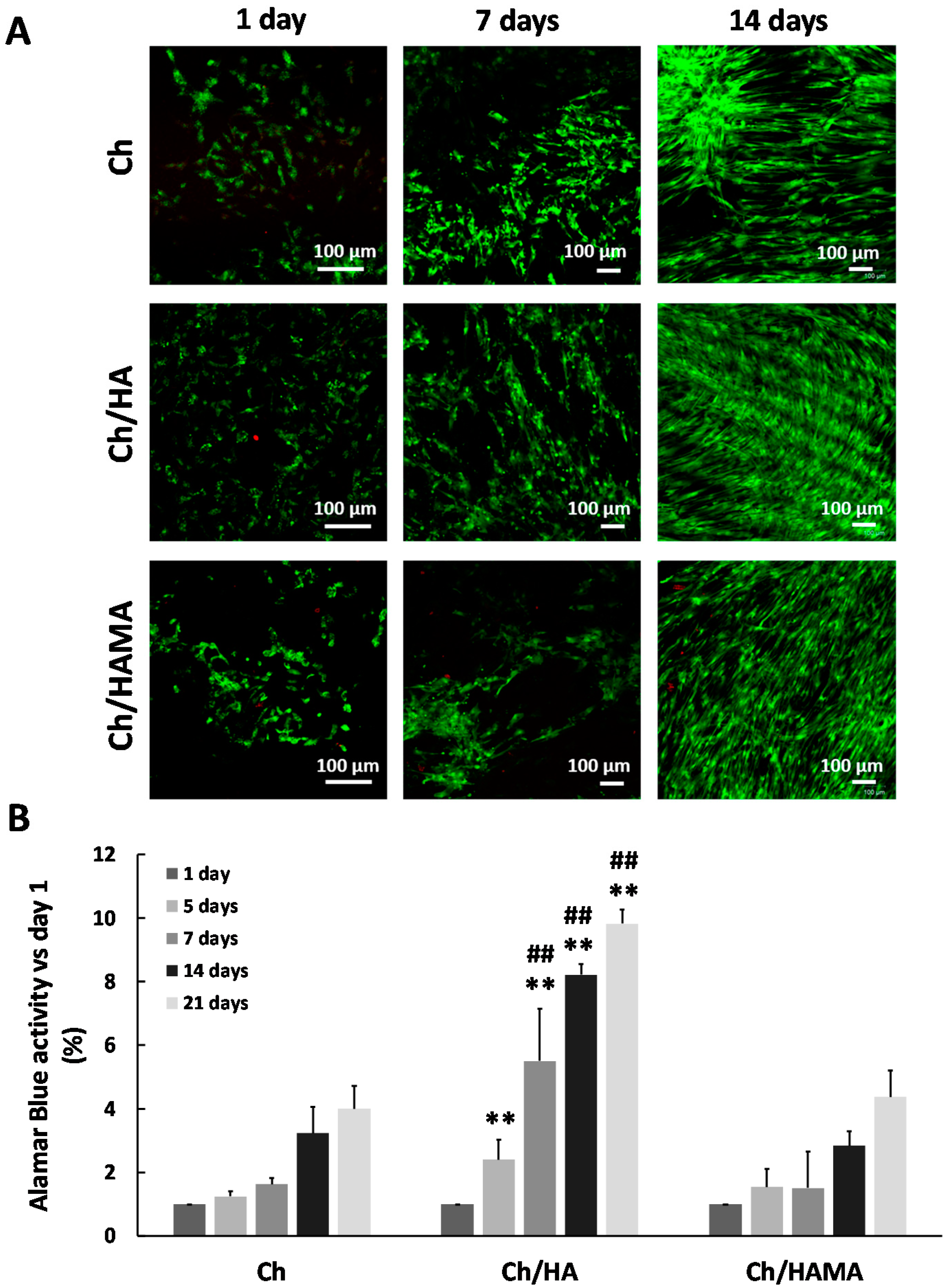 Polymers 12 02661 g007 Polymers 12 02661 g007