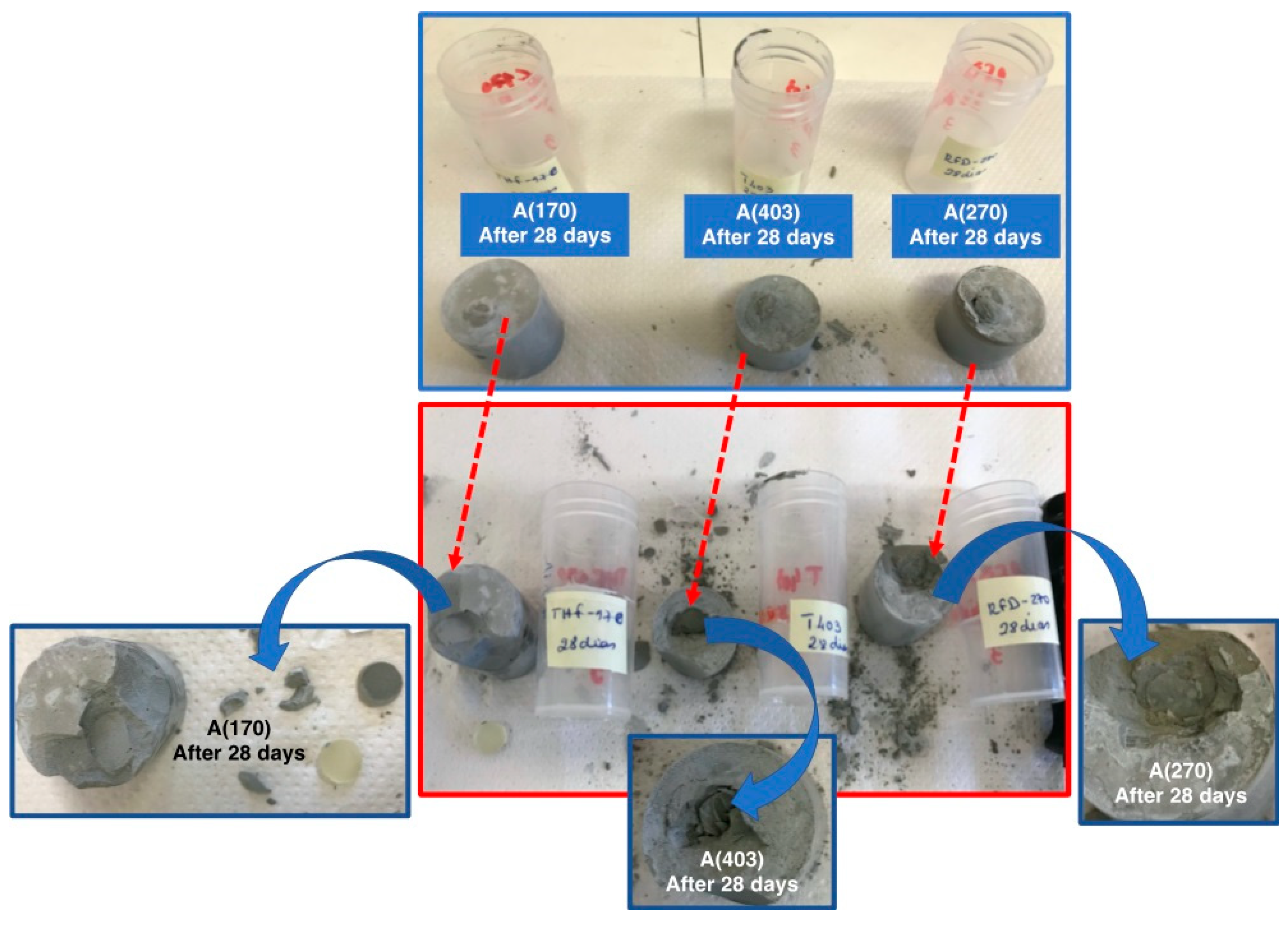 Polymers 12 02671 g008