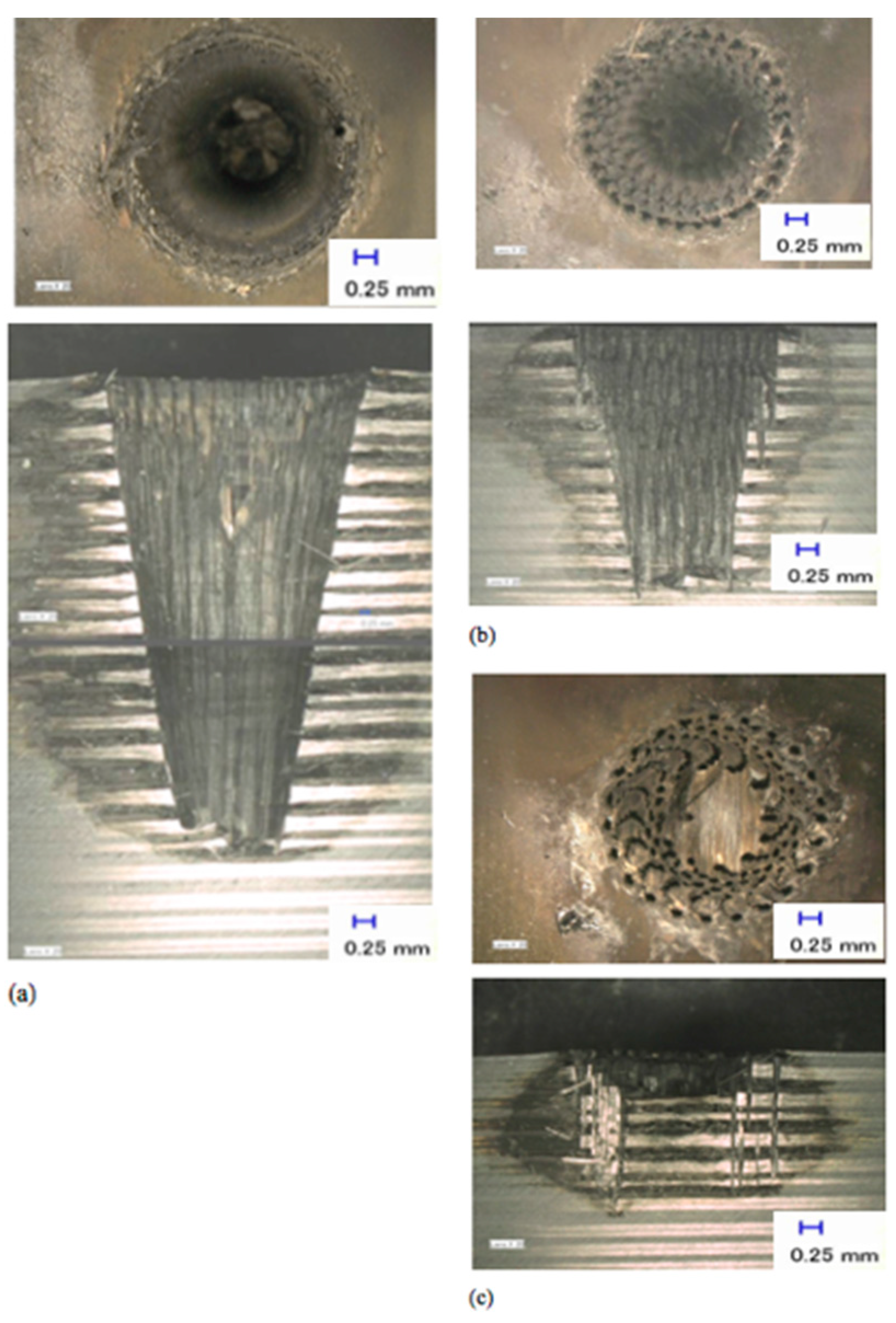 Polymers 12 02674 g016