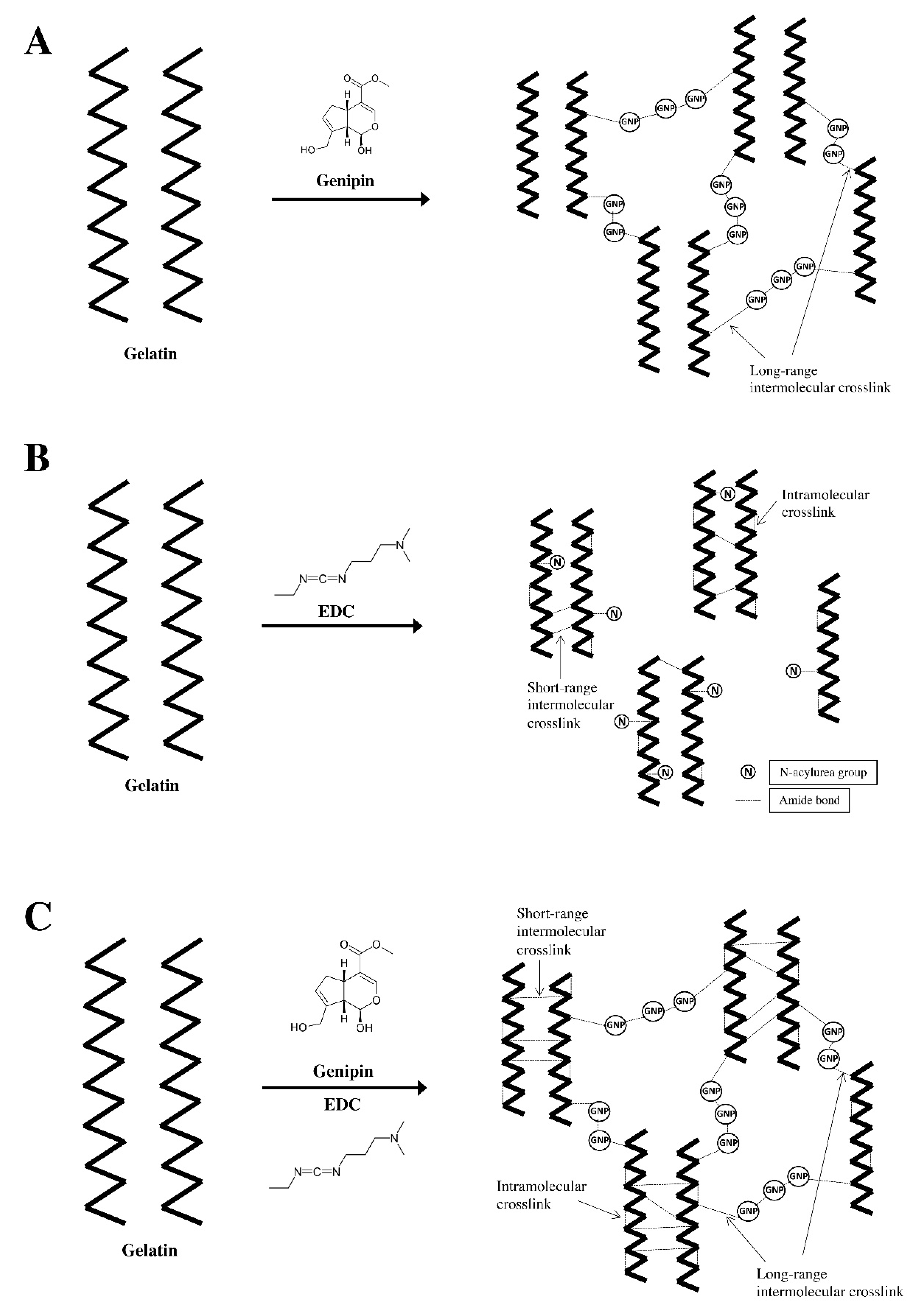 Polymers 12 02678 g001