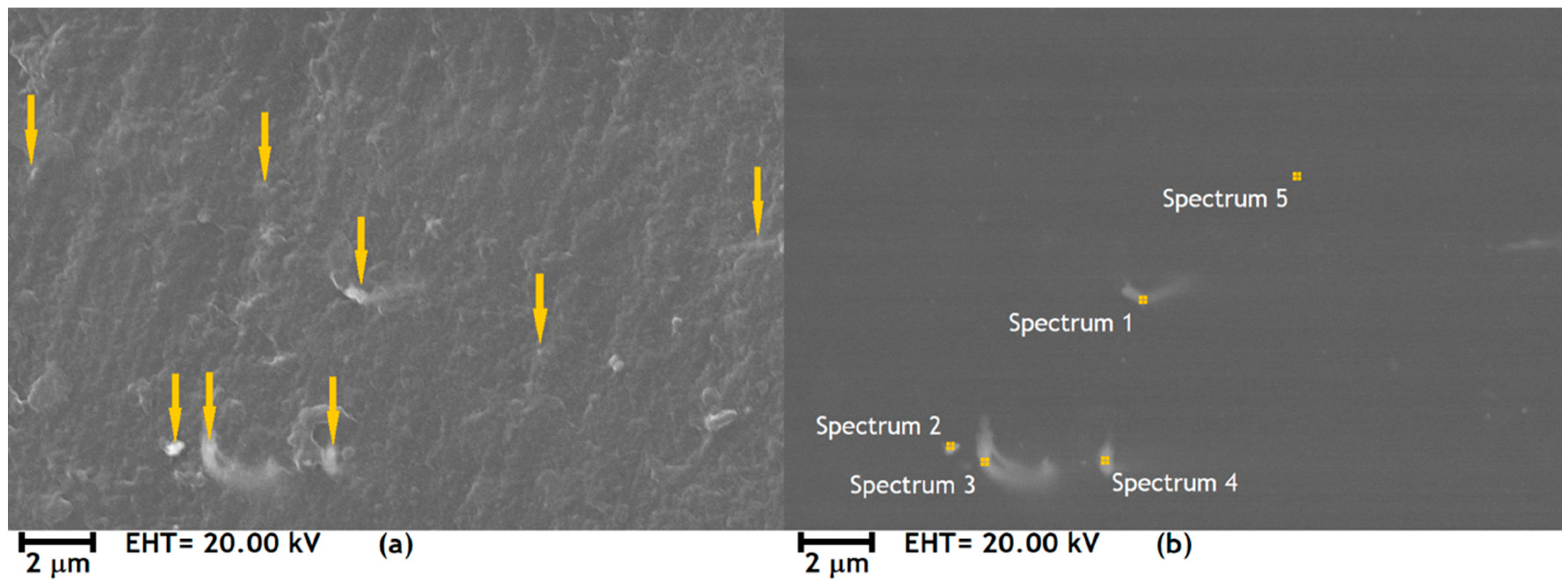 Polymers 12 02680 g002