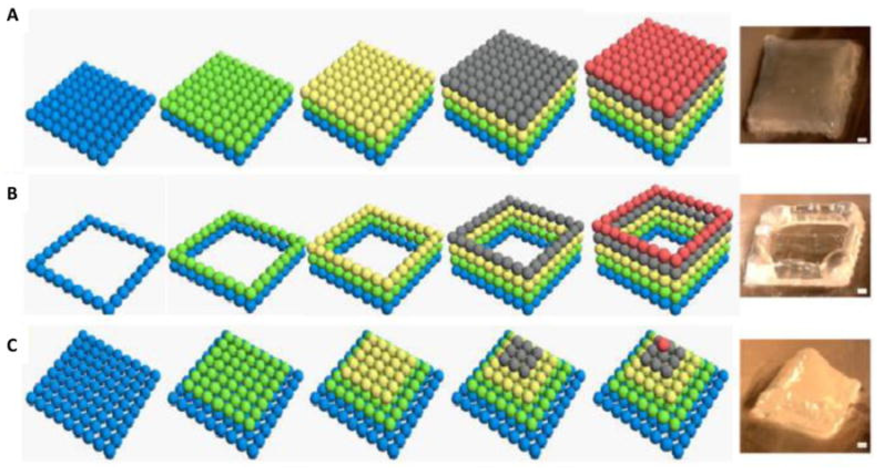 Polymers 12 02682 g003