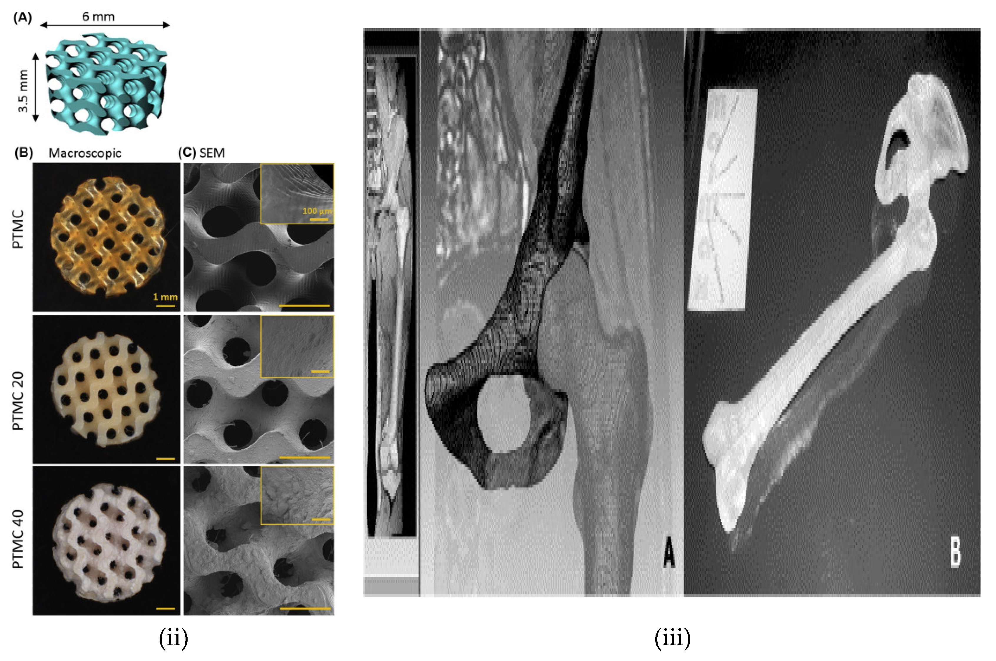 Polymers 12 02682 g006b
