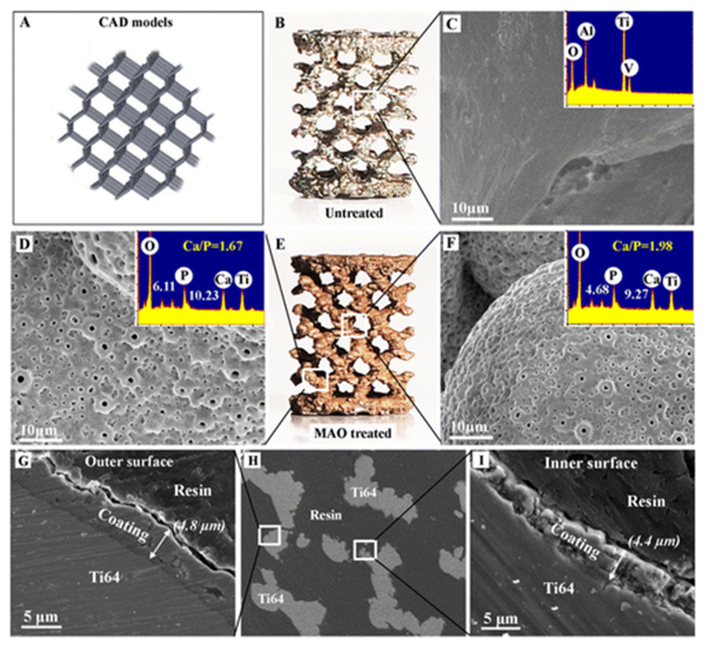 Polymers 12 02682 g007