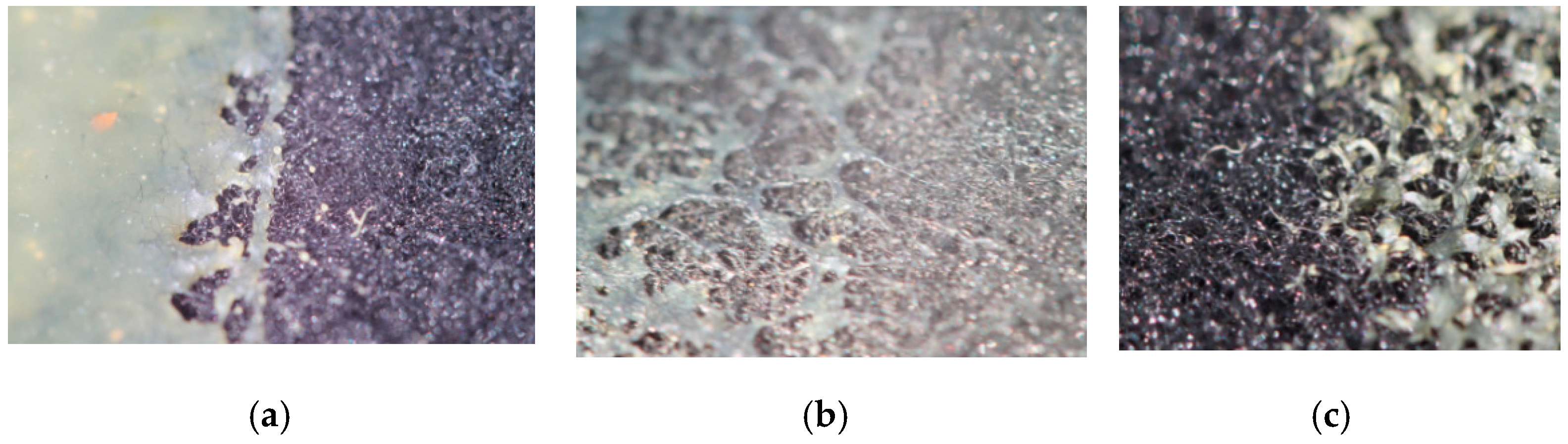 Polymers 12 02684 g007a