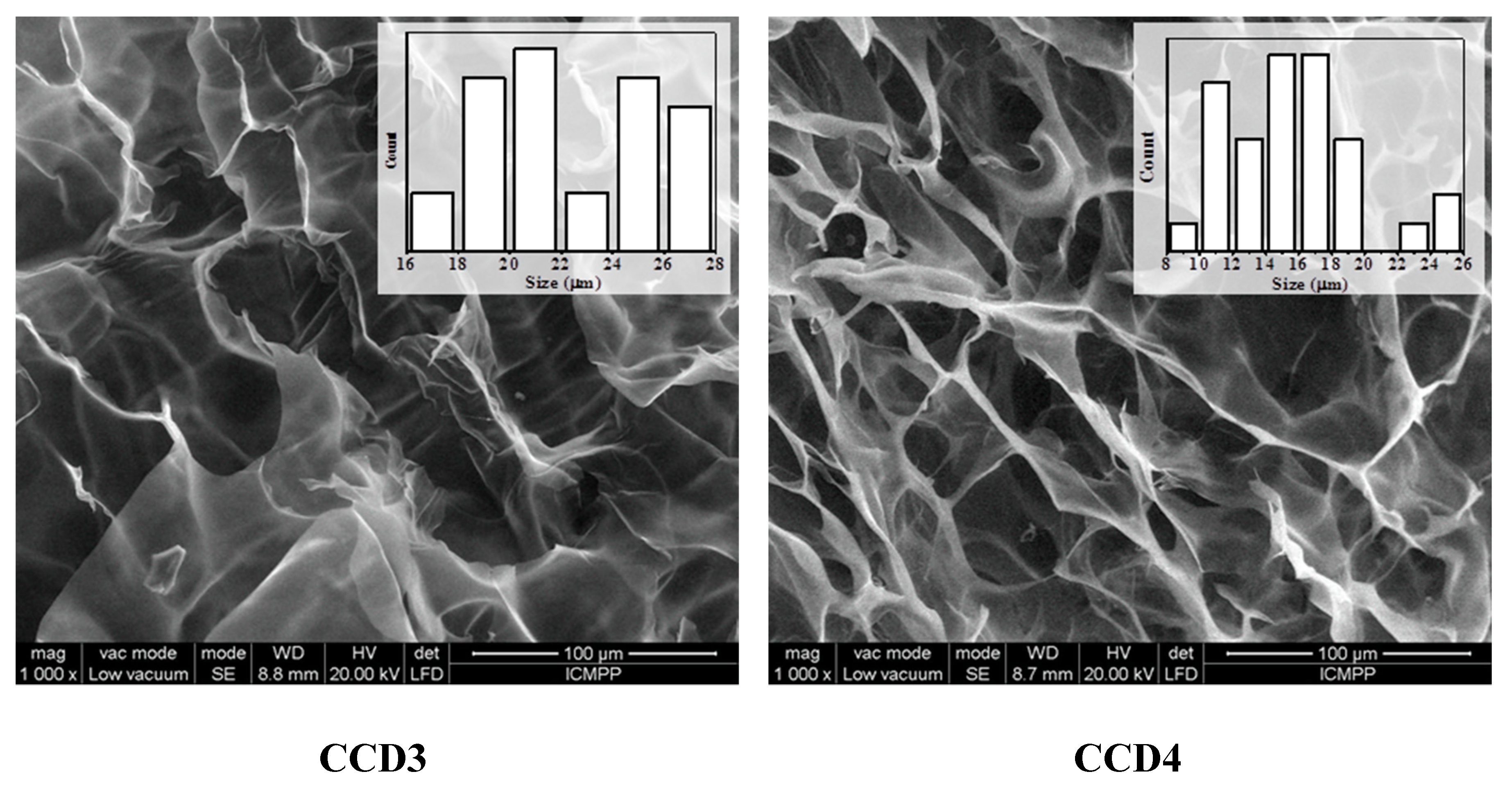 Polymers 12 02687 g003b Polymers 12 02687 g003b