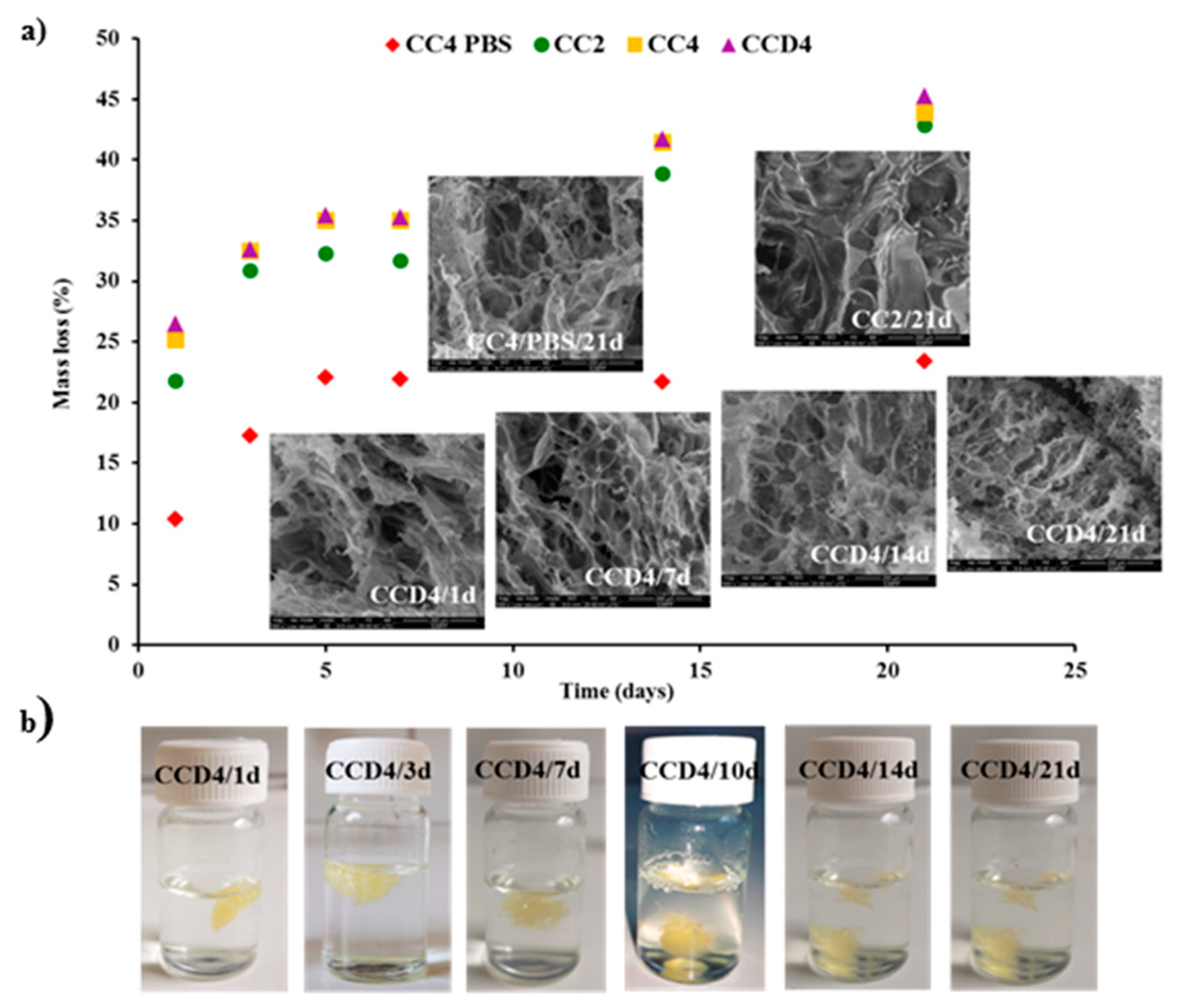 Polymers 12 02687 g005 Polymers 12 02687 g005