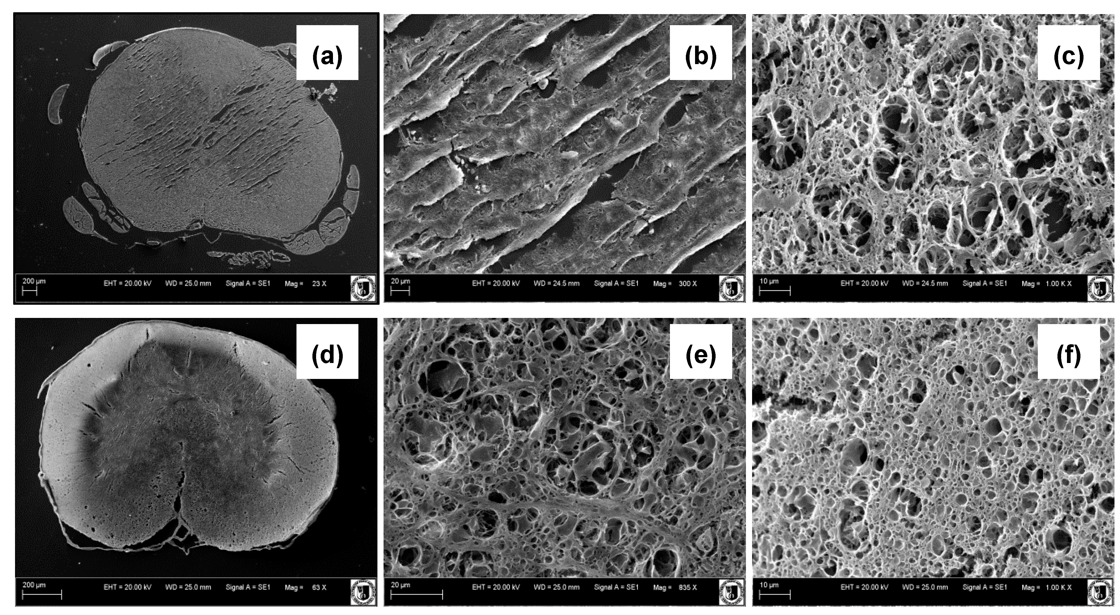 Polymers 12 02693 g001 Polymers 12 02693 g001