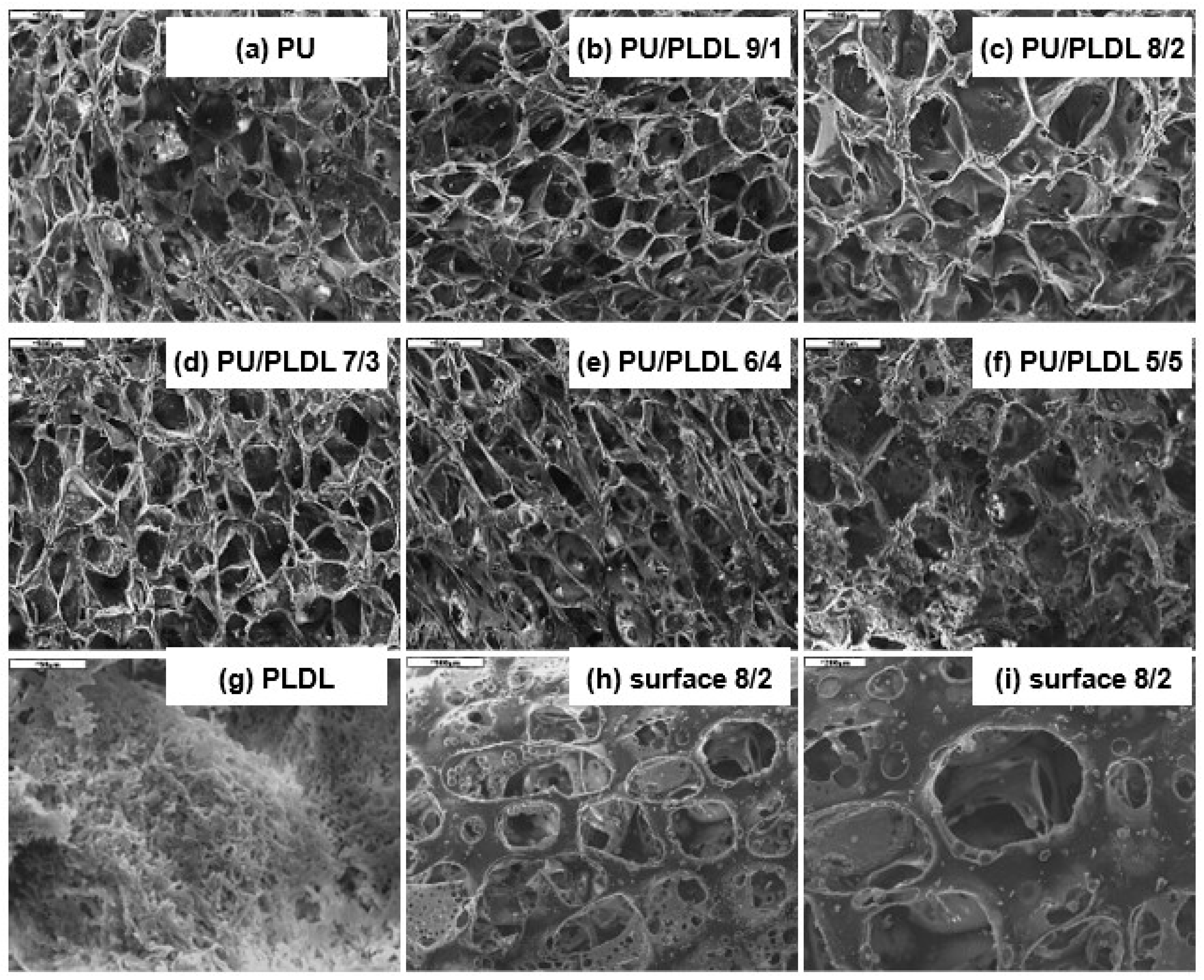 Polymers 12 02693 g003 Polymers 12 02693 g003