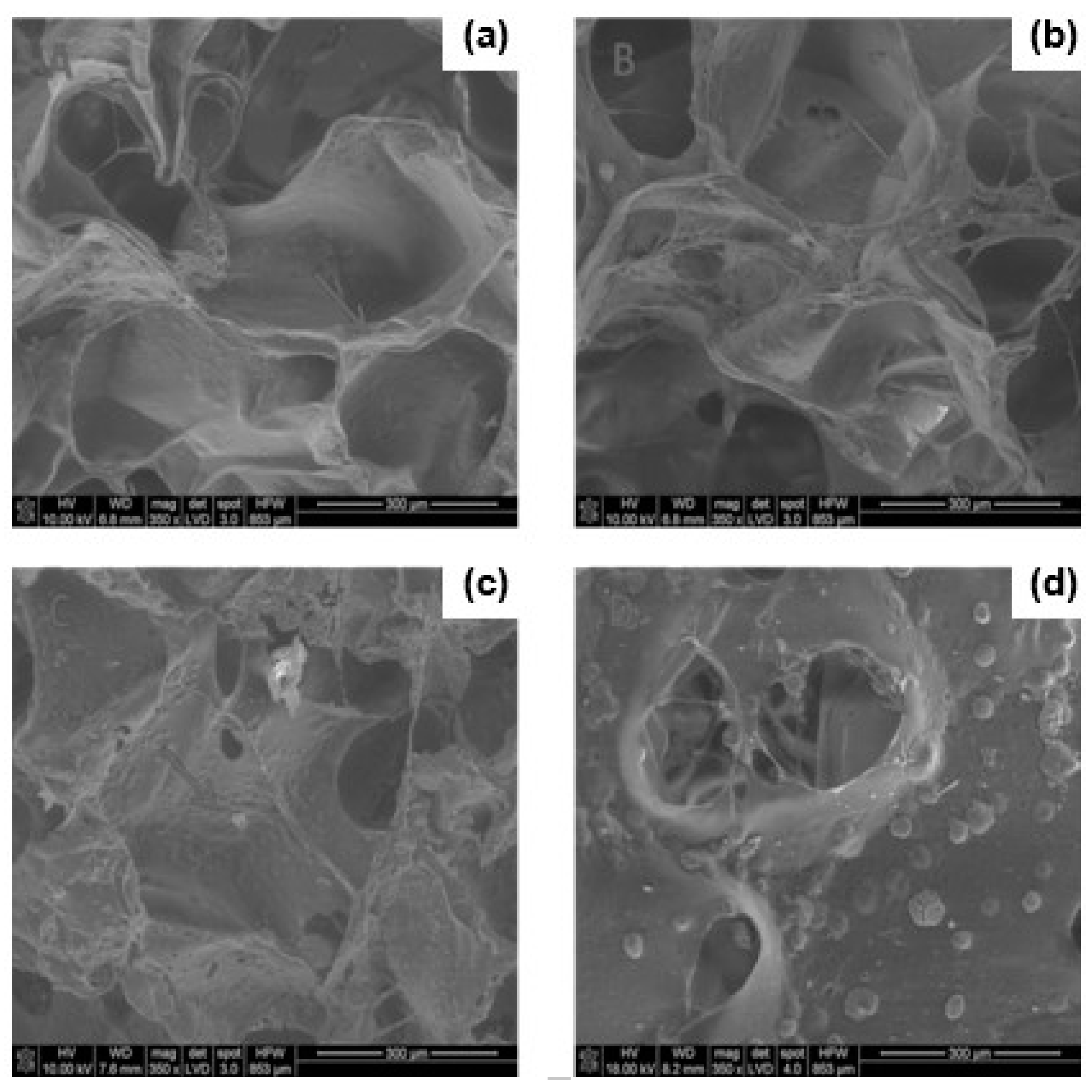 Polymers 12 02693 g009 Polymers 12 02693 g009
