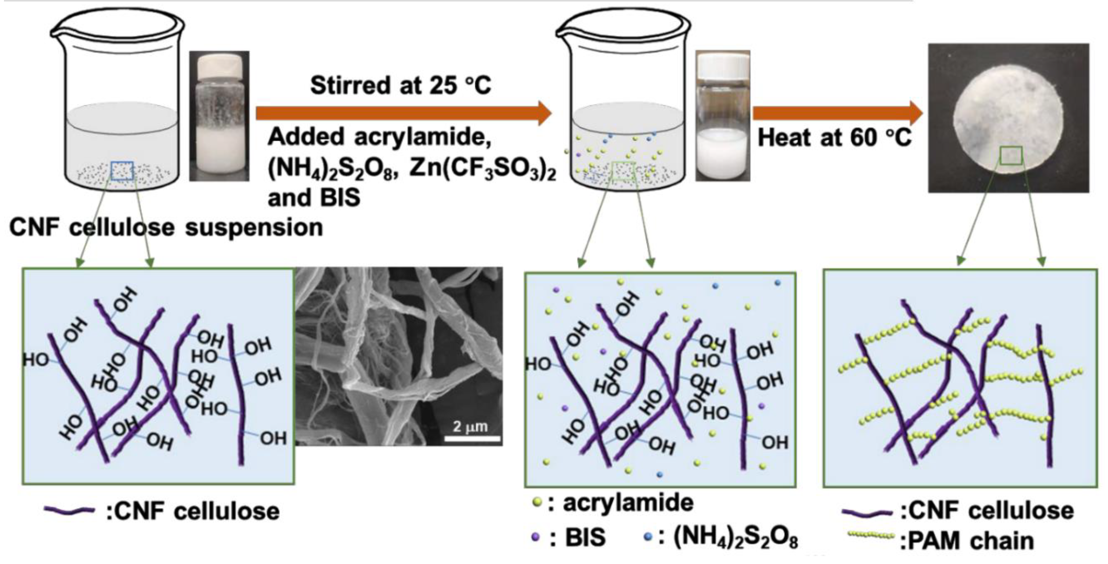 Polymers 12 02702 g004