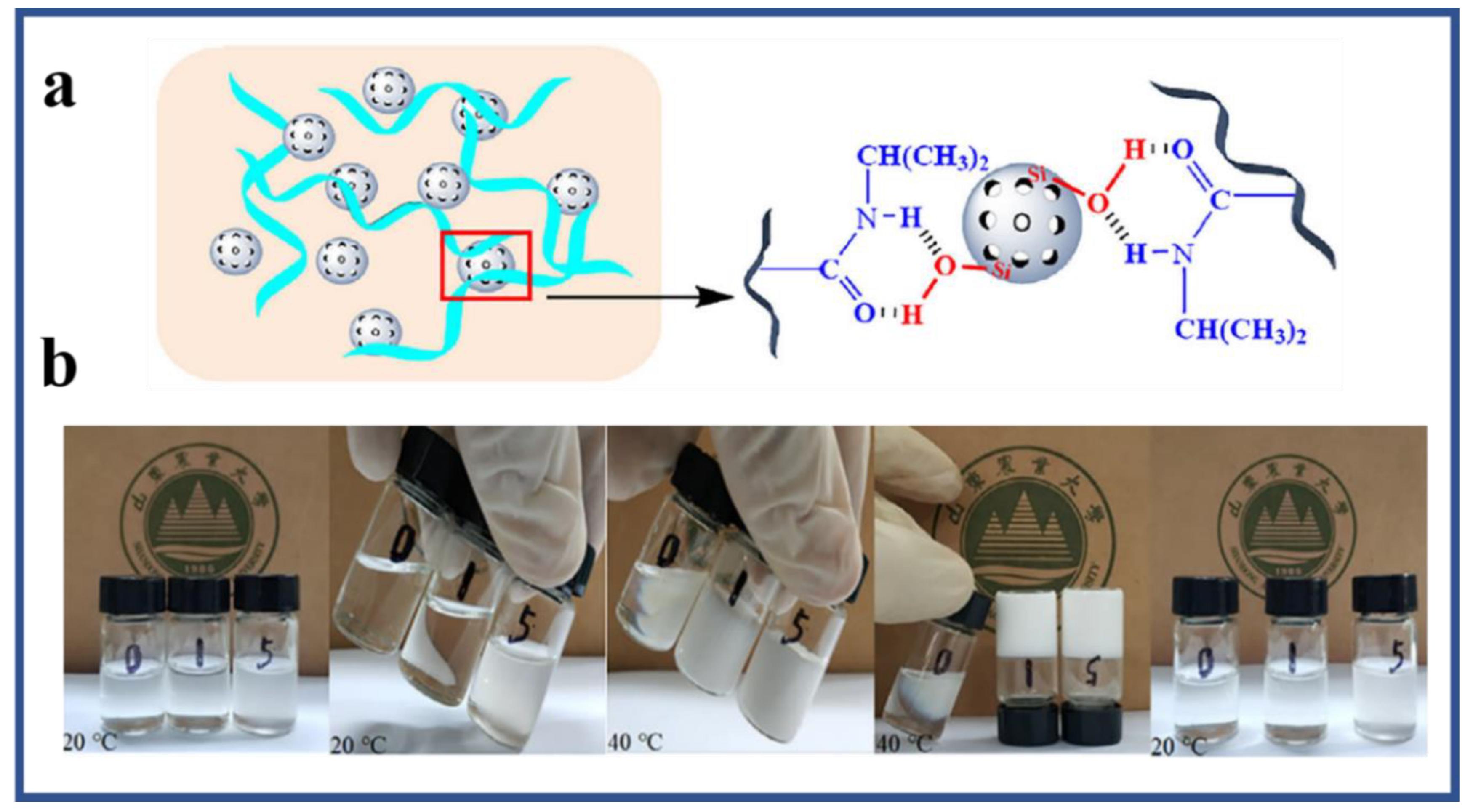 Polymers 12 02702 g005