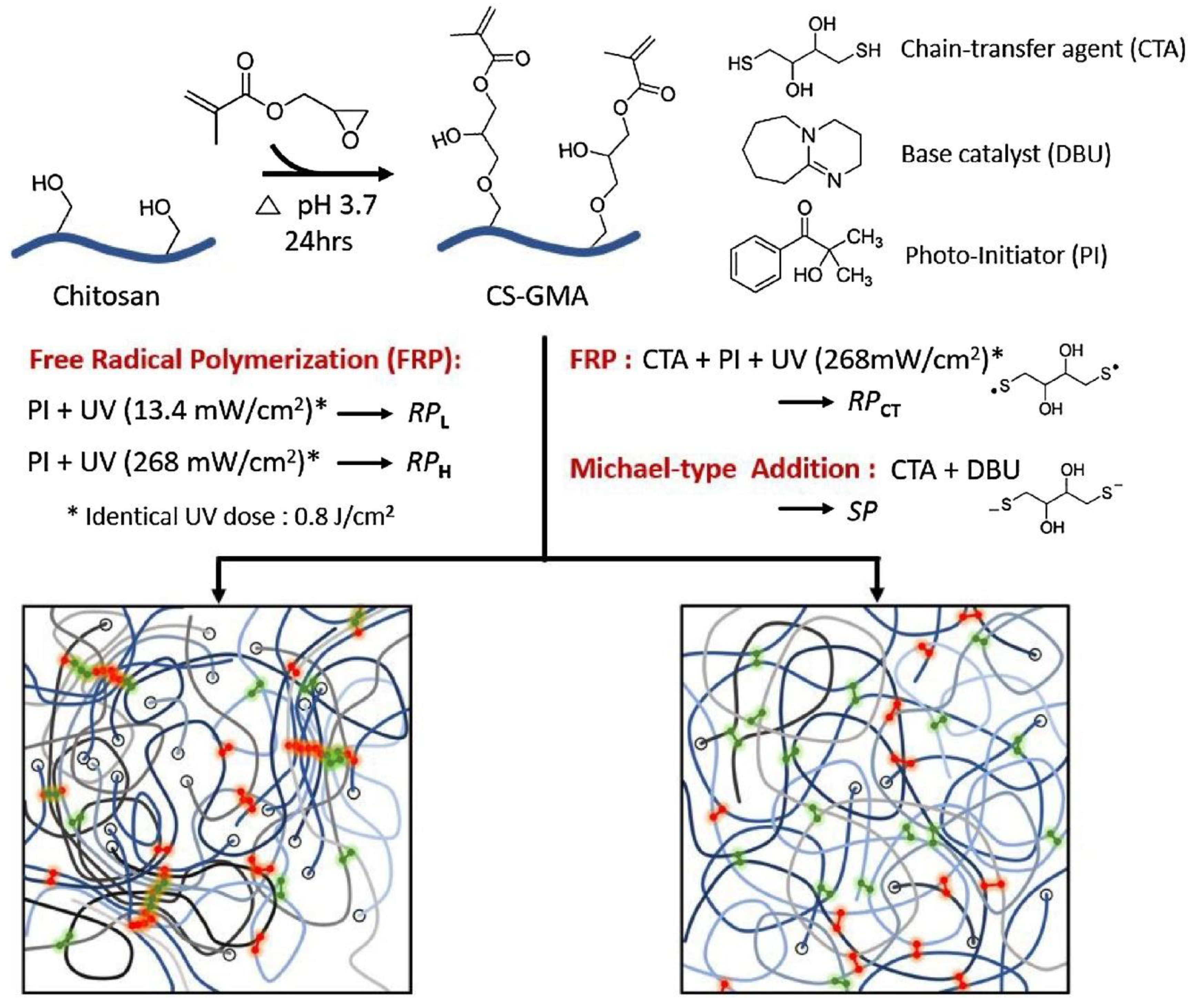 Polymers 12 02702 g007