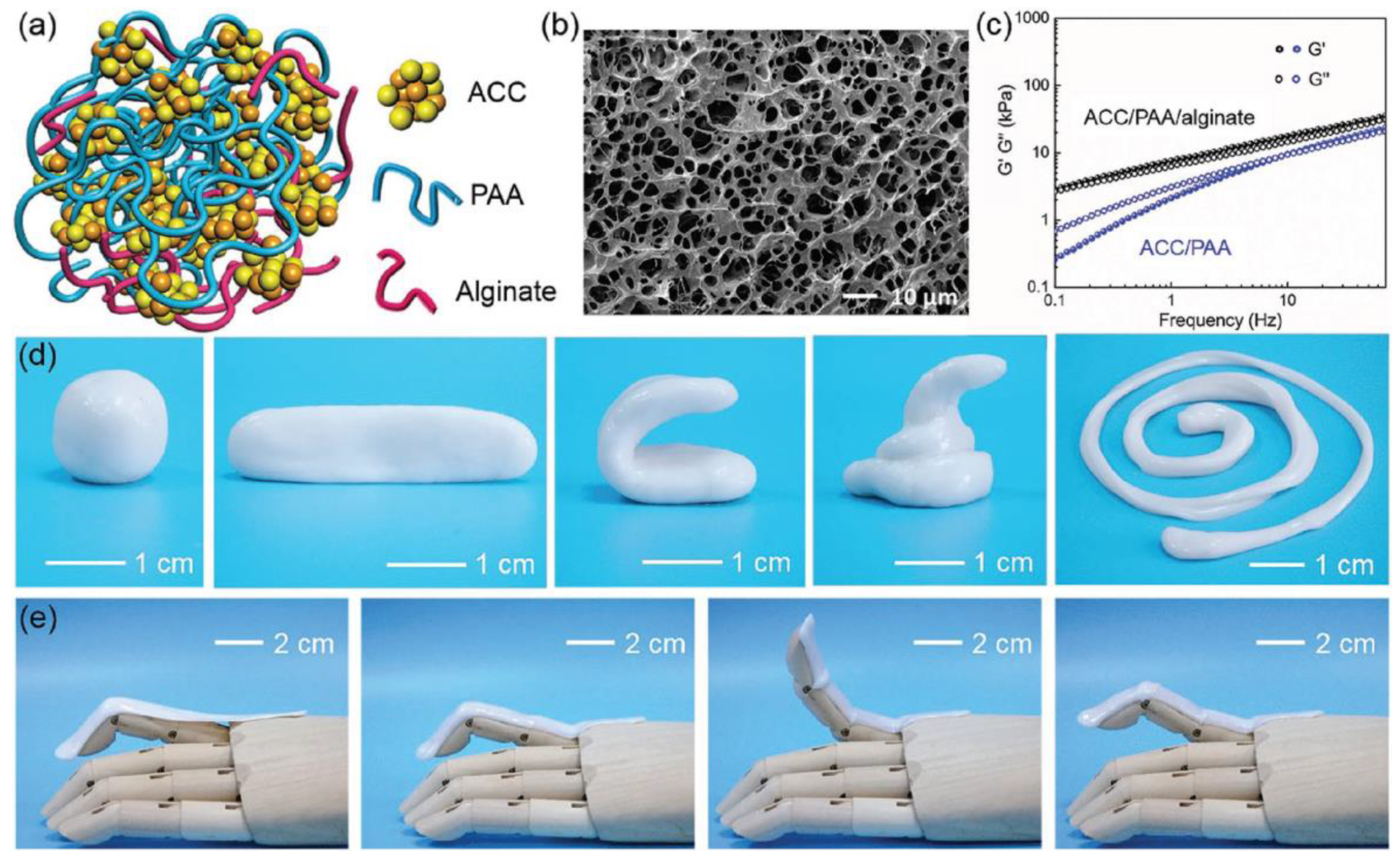 Polymers 12 02702 g011