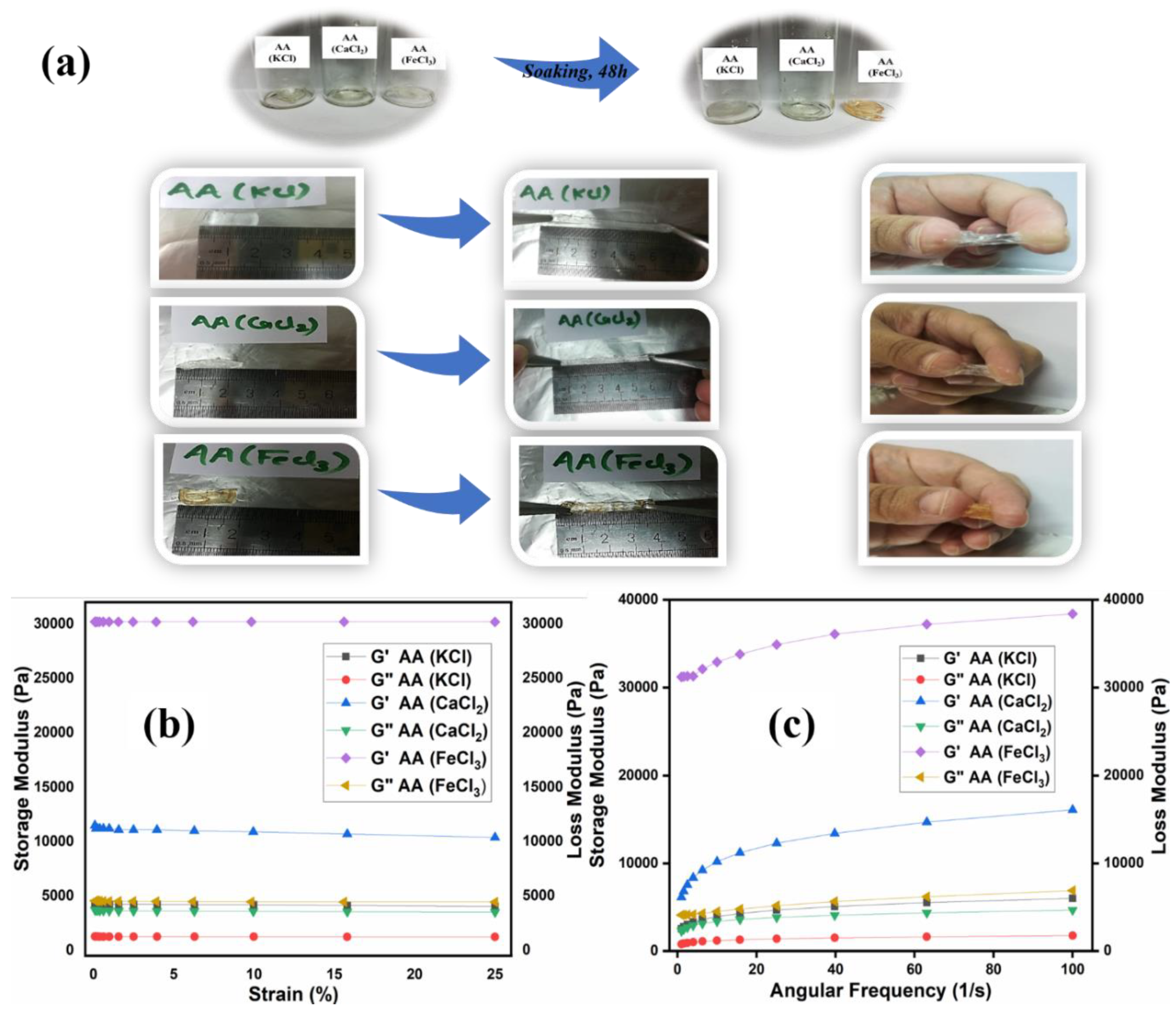 Polymers 12 02702 g012