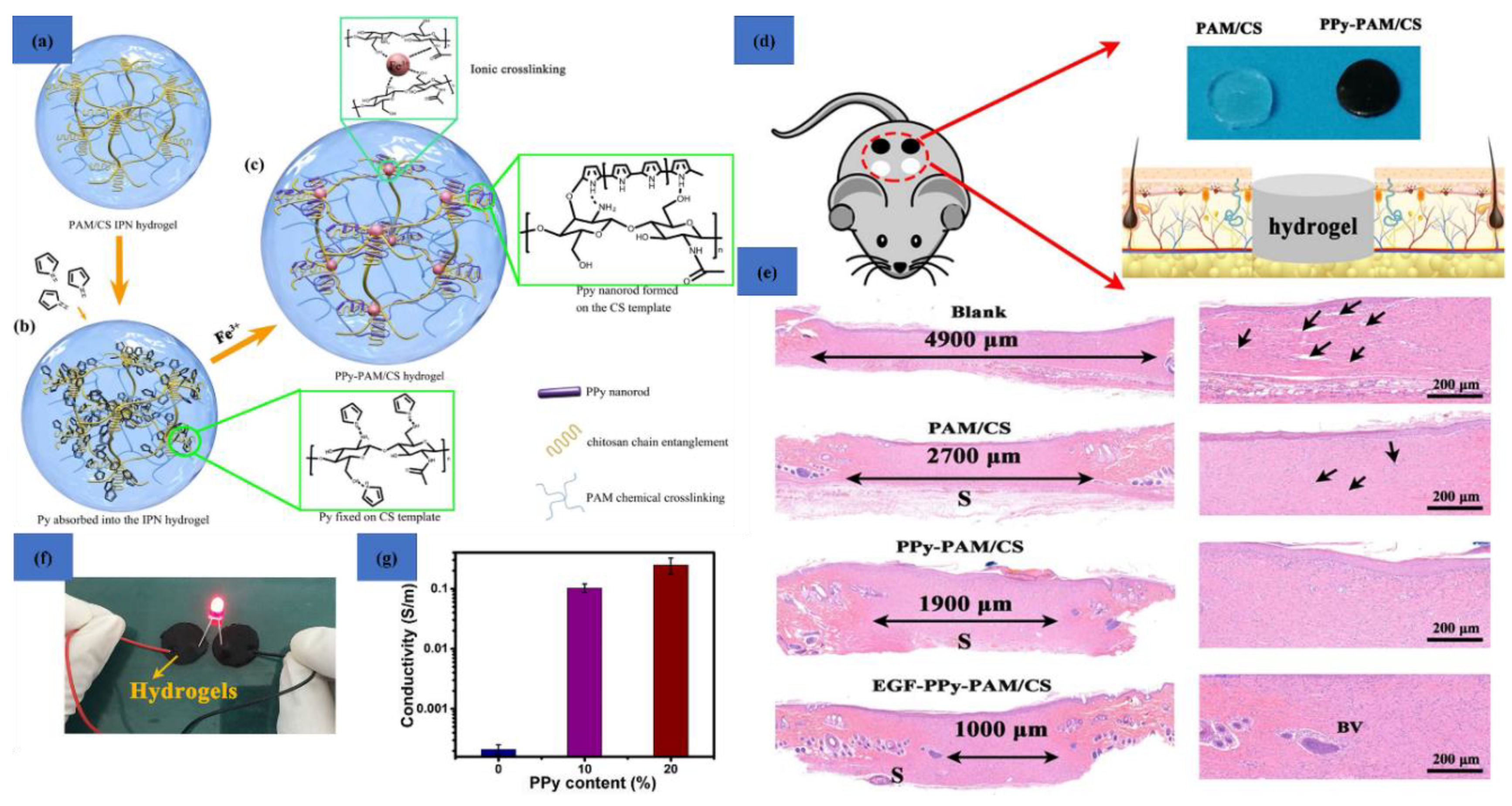 Polymers 12 02702 g014