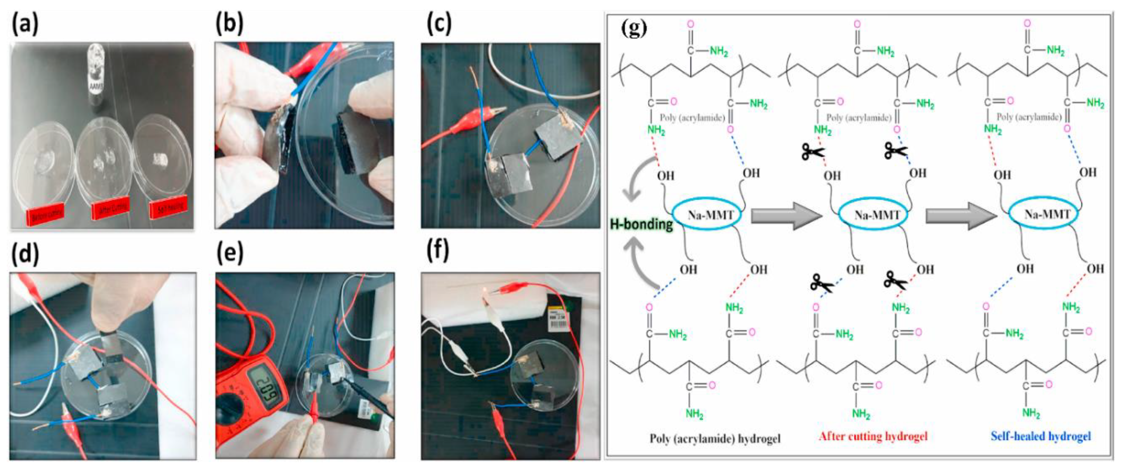 Polymers 12 02702 g025