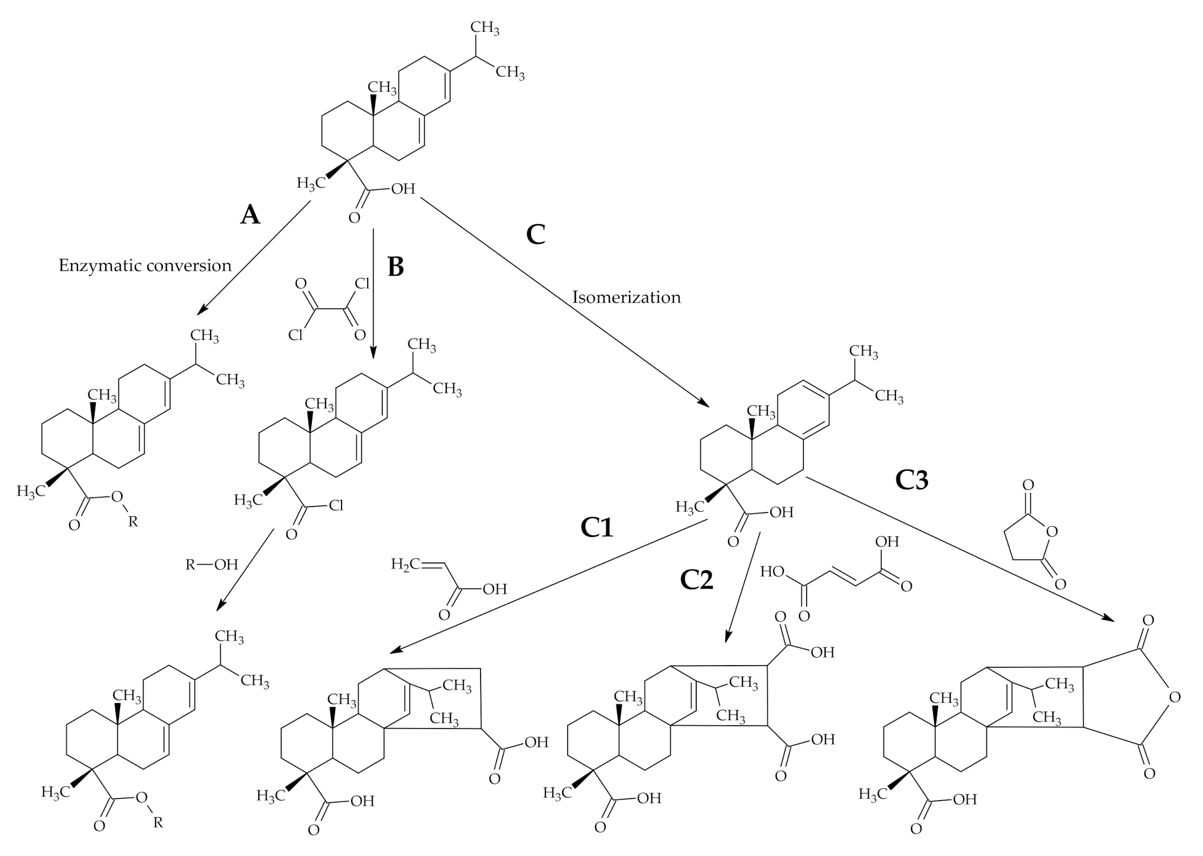 Polymers 12 02706 g003