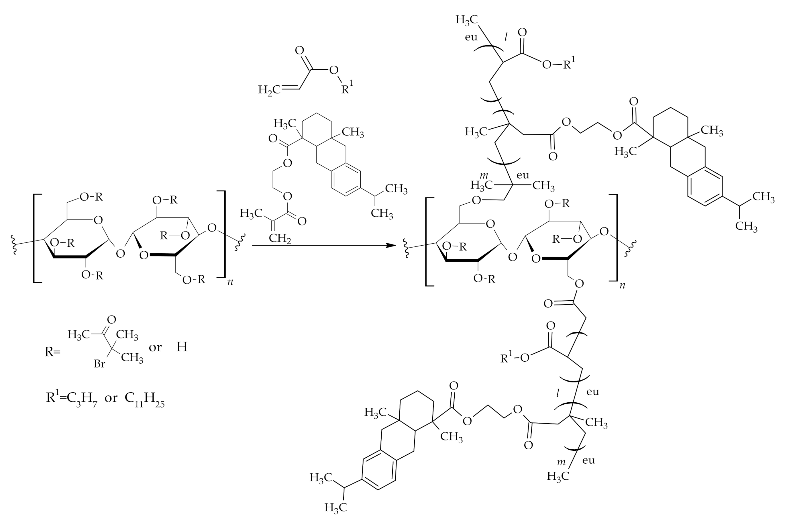 Polymers 12 02706 g005