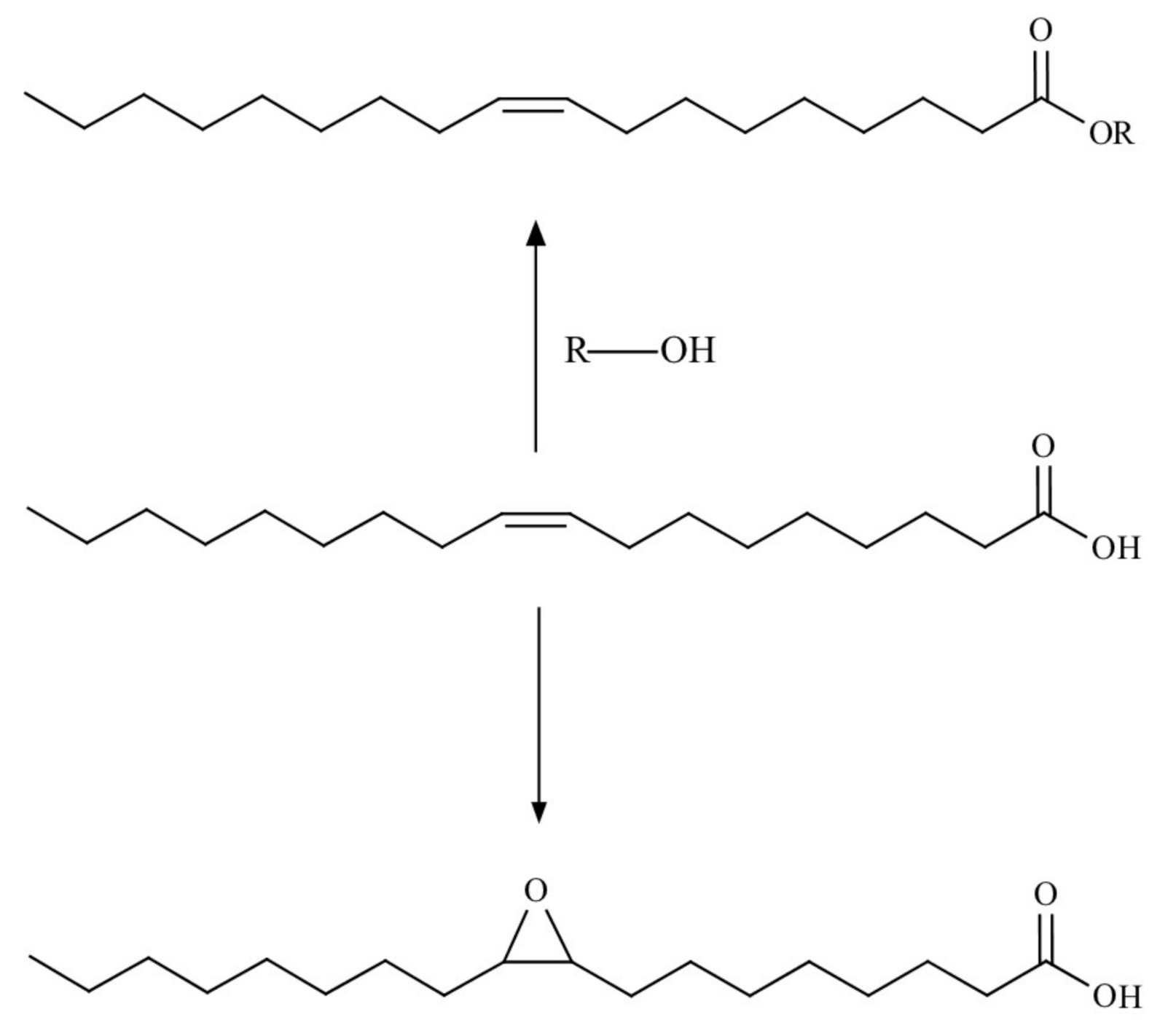 Polymers 12 02706 g009