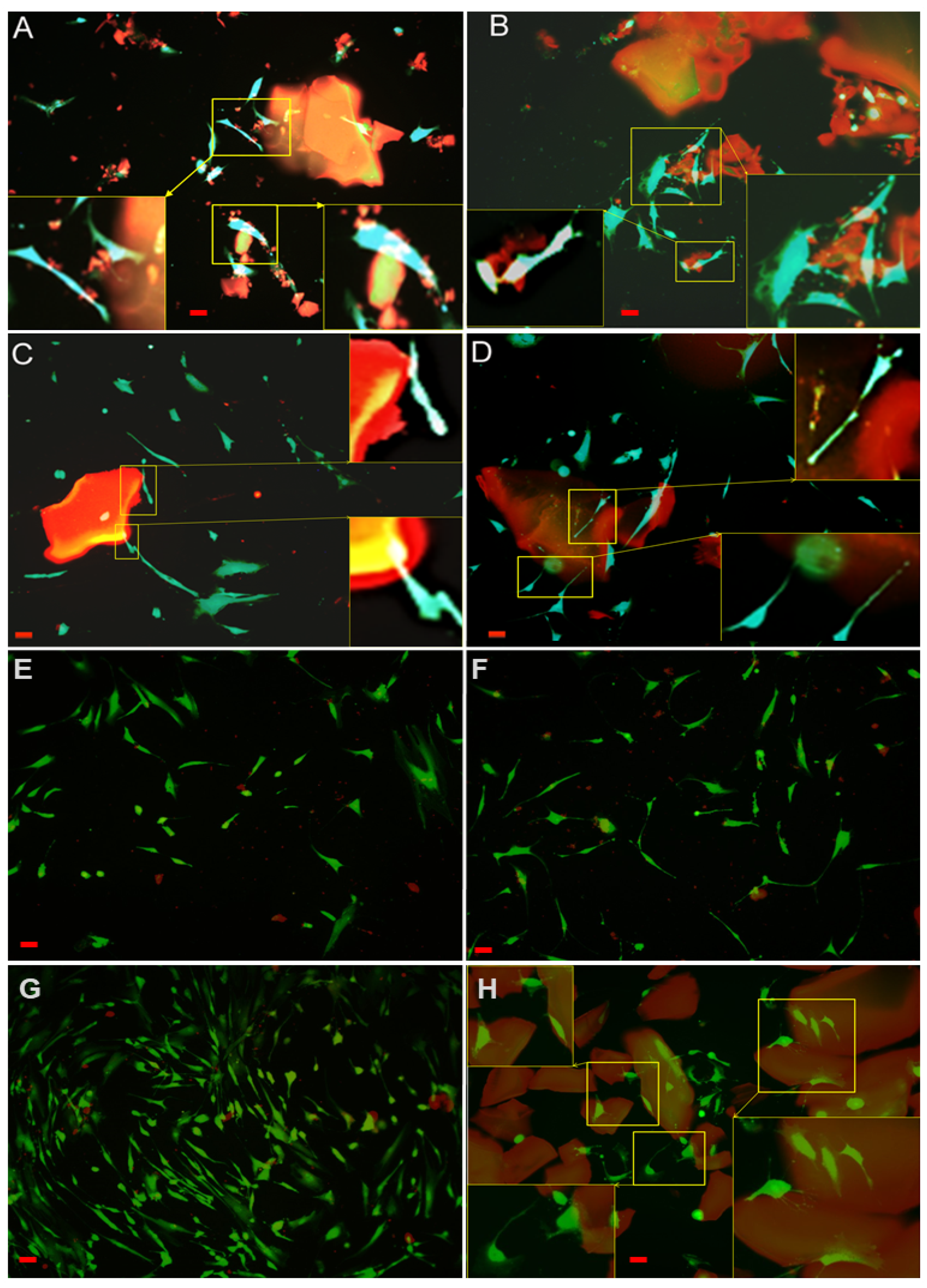 Polymers 12 02723 g008