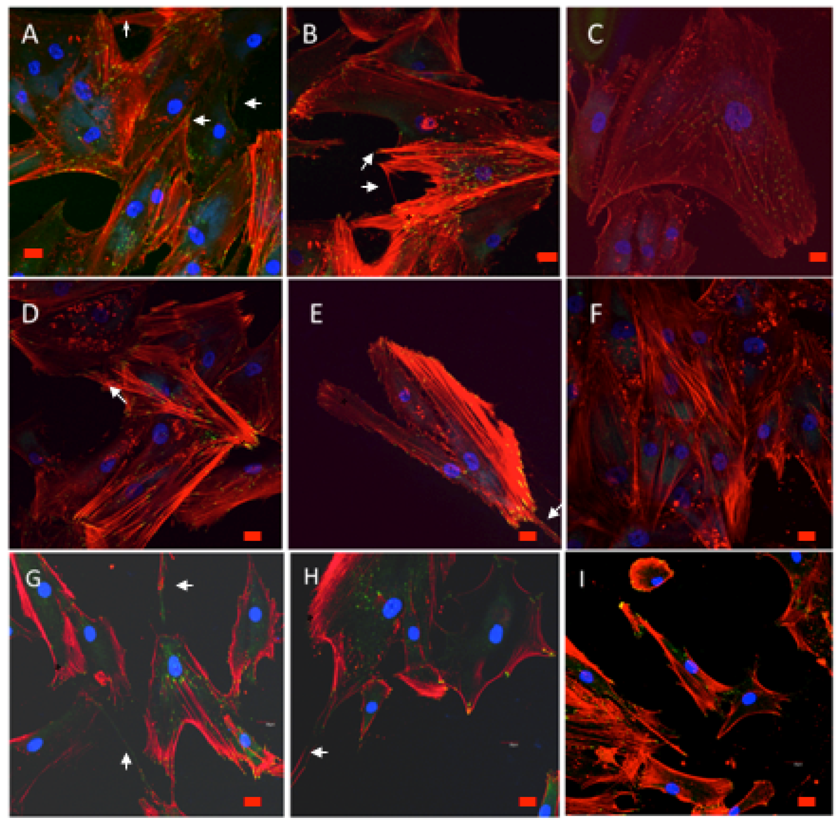 Polymers 12 02723 g009