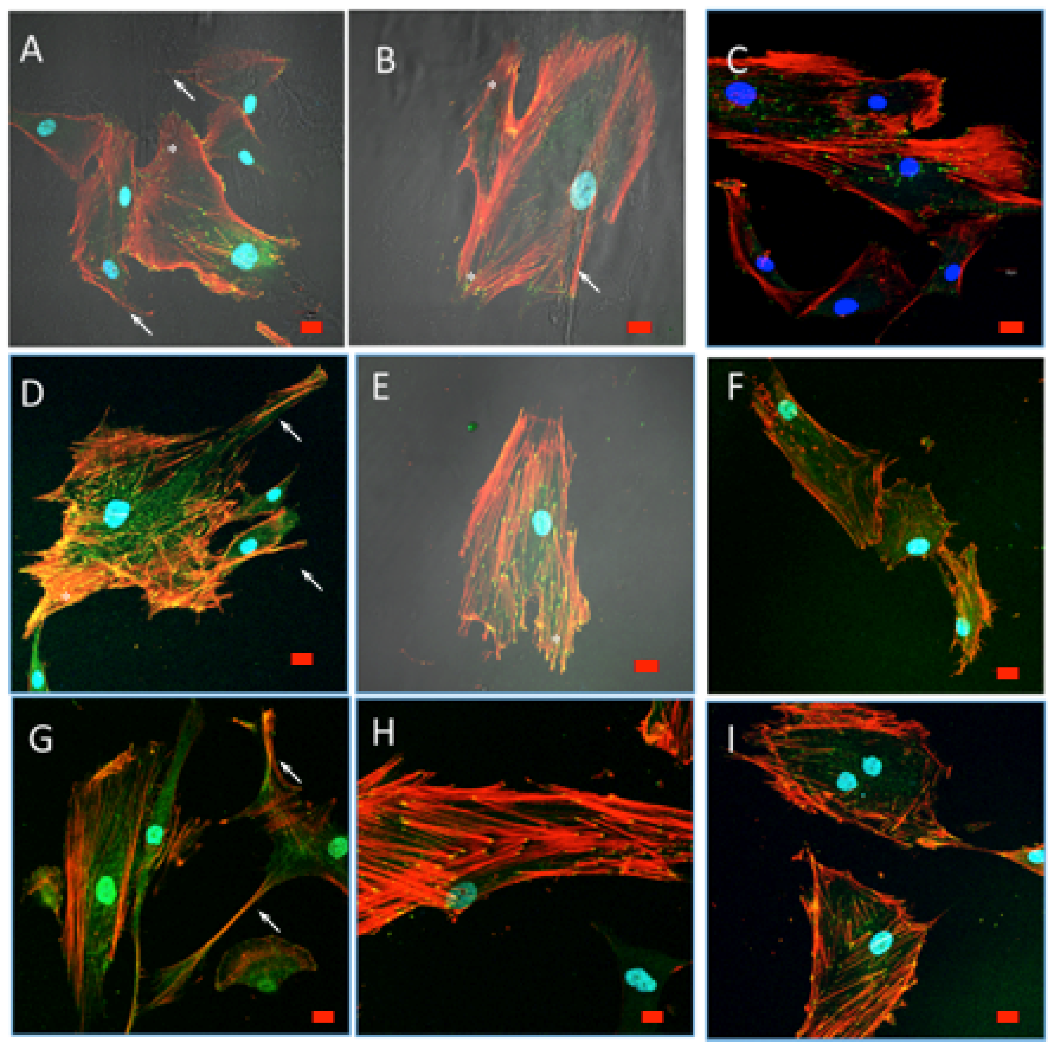 Polymers 12 02723 g010
