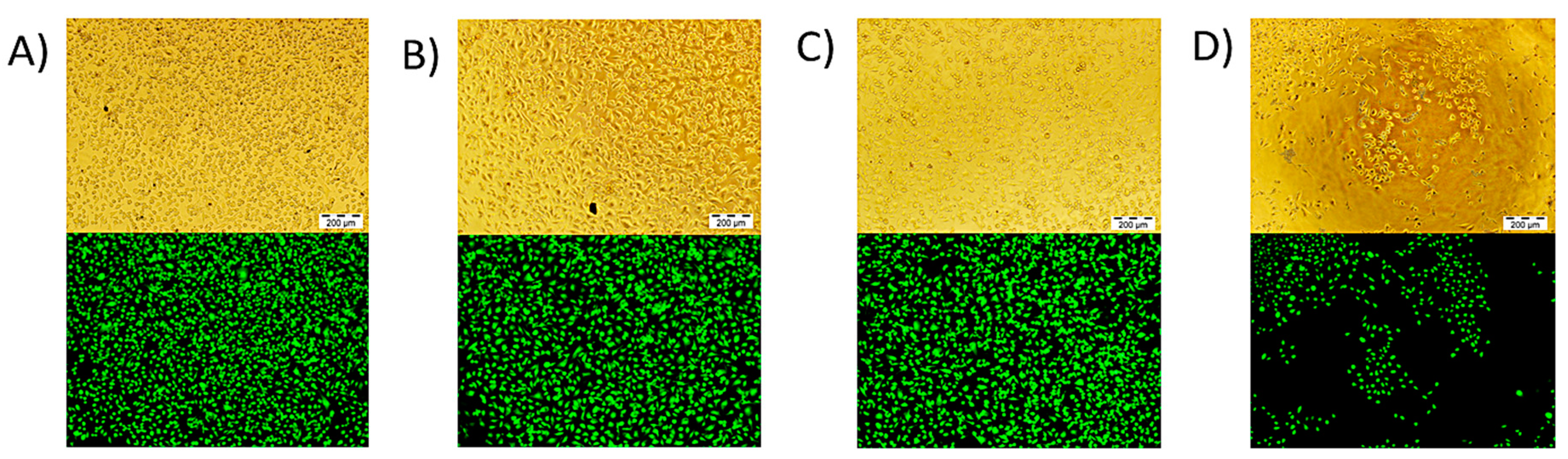 Polymers 12 02724 g008