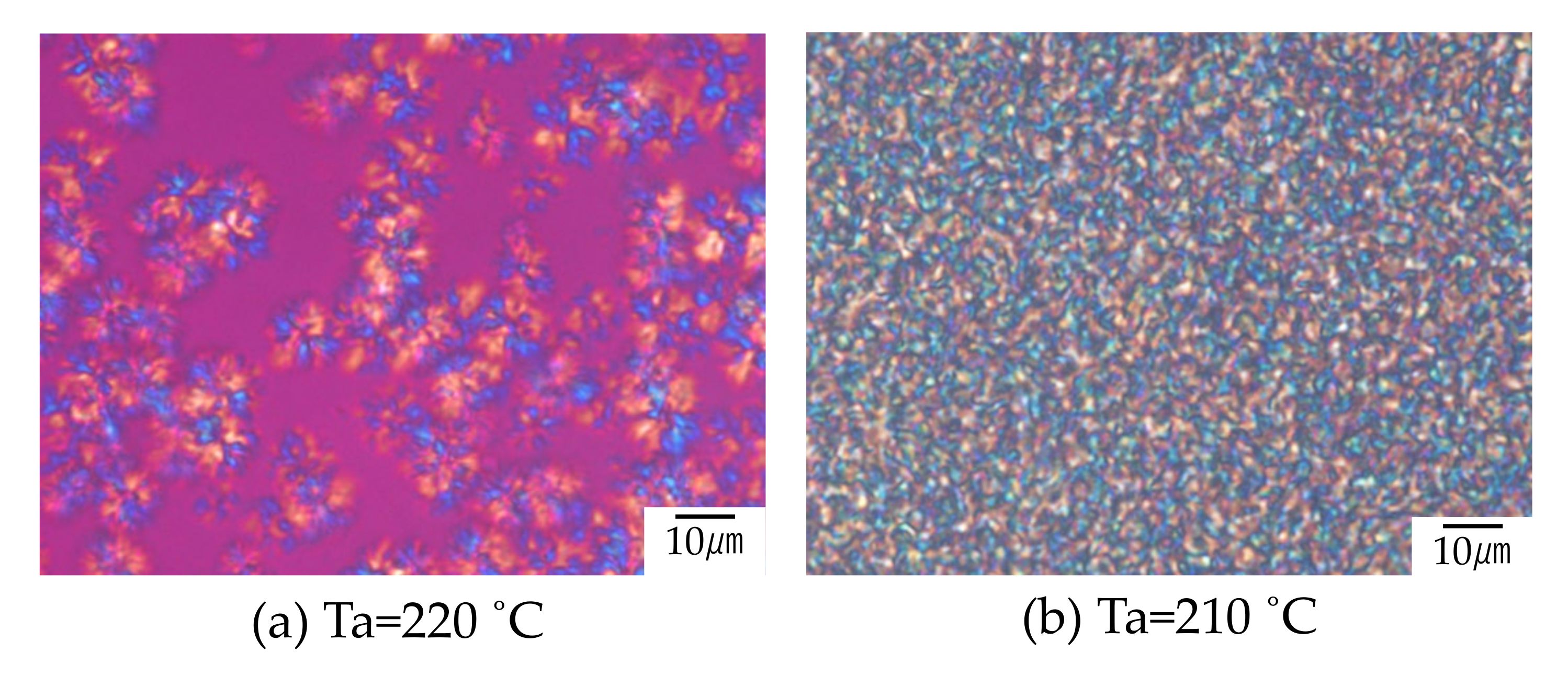Polymers 12 02730 g006
